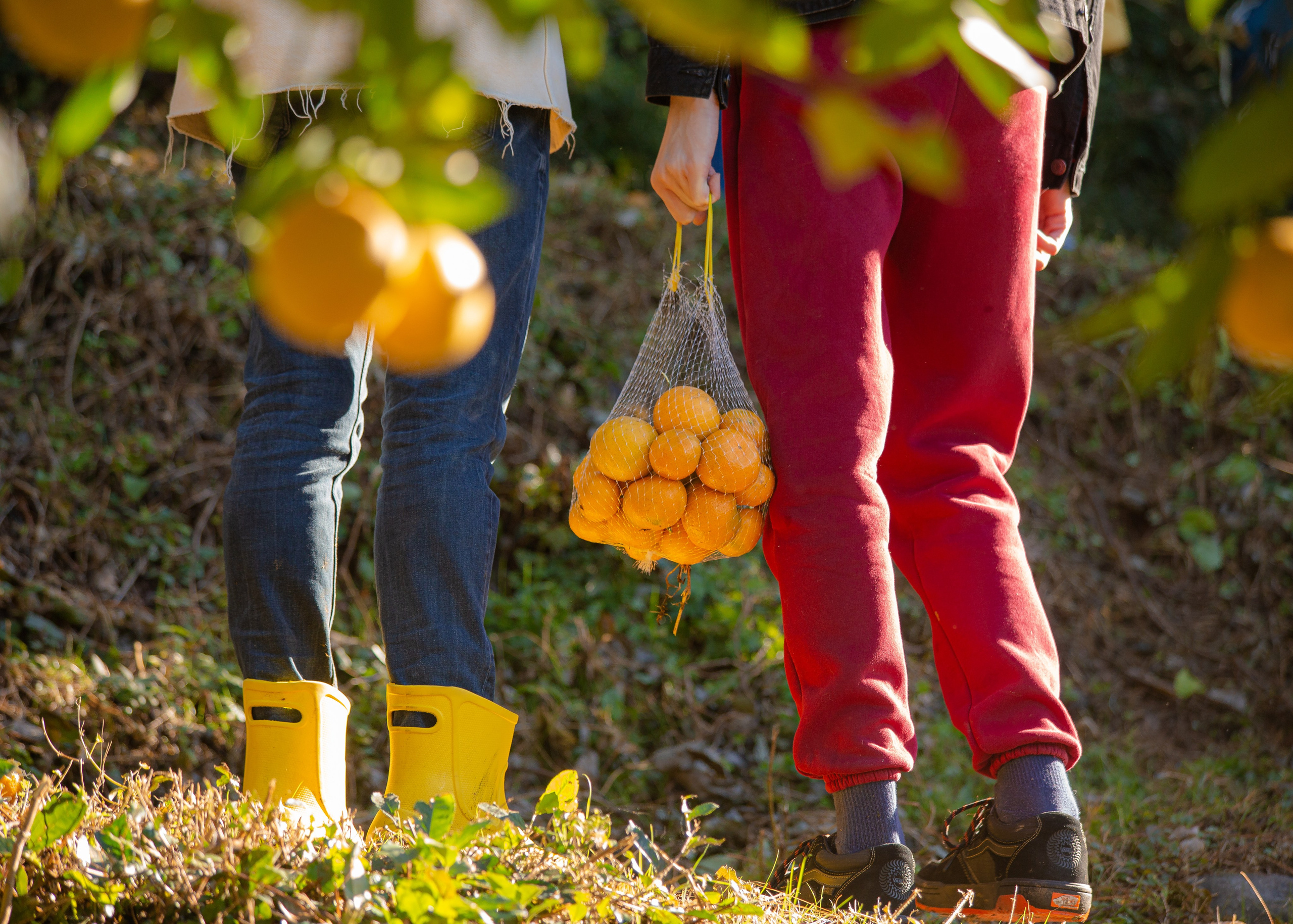 Event. PHOTOSTORYNIKA