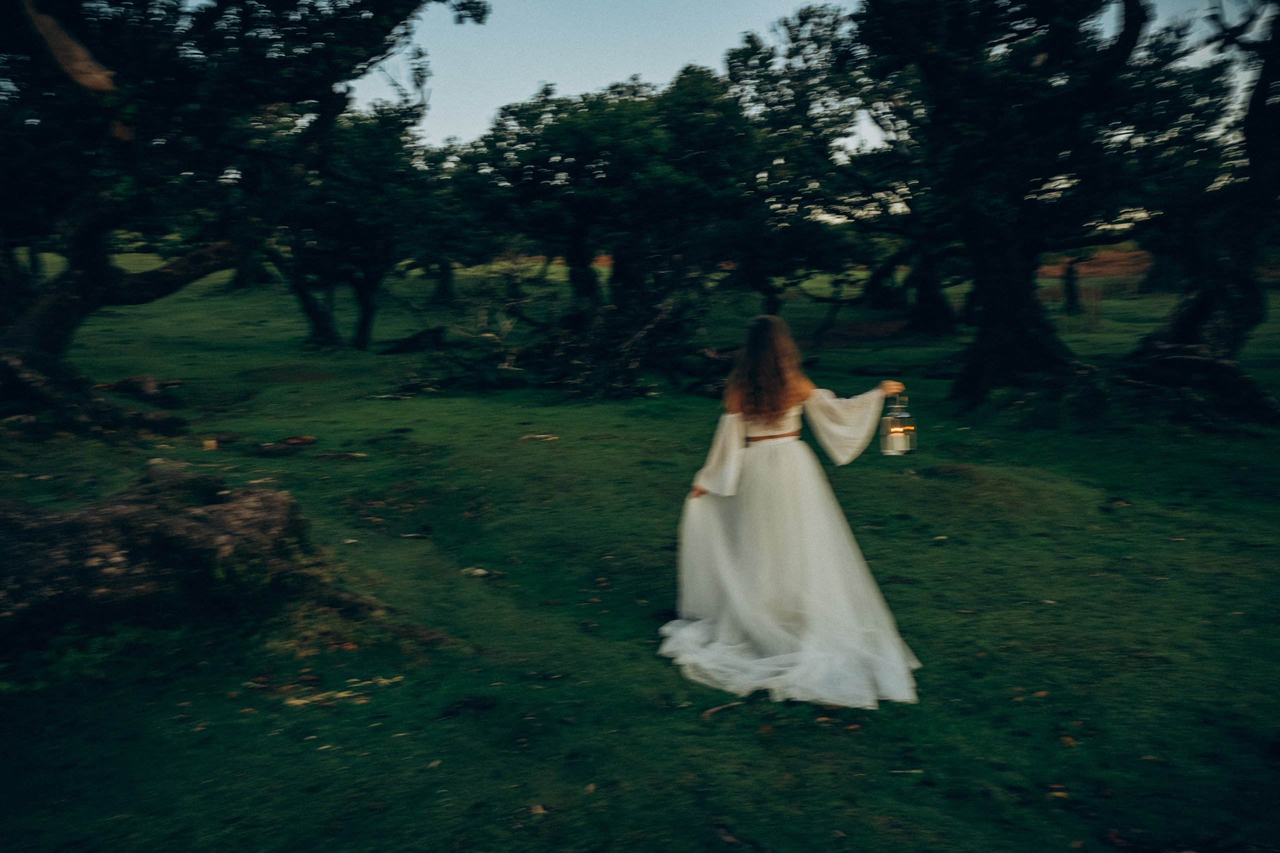 Professional photography in Madeira