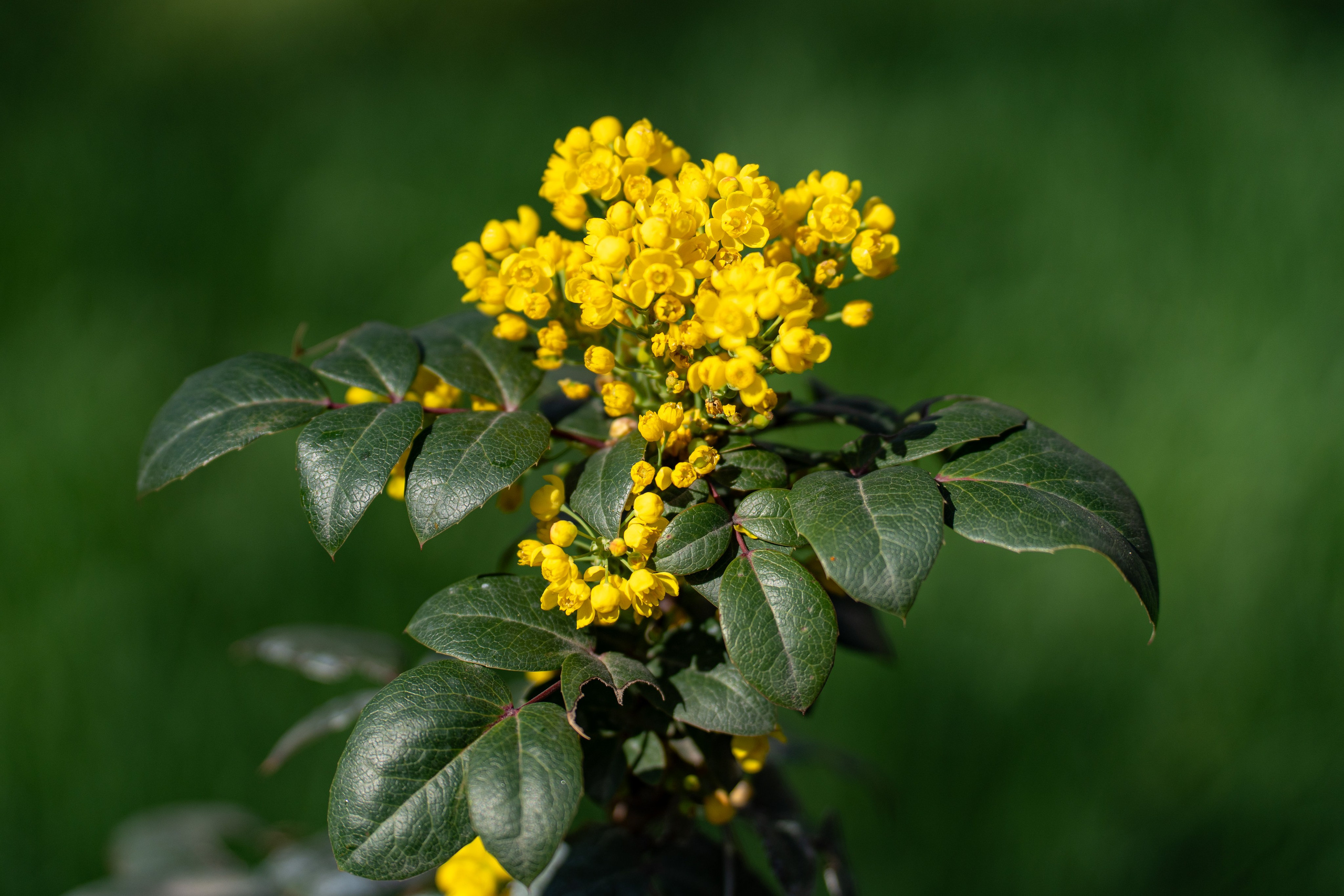 Весенний вайб Ташкента. Георгий Намазов | Фотограф в Ташкенте