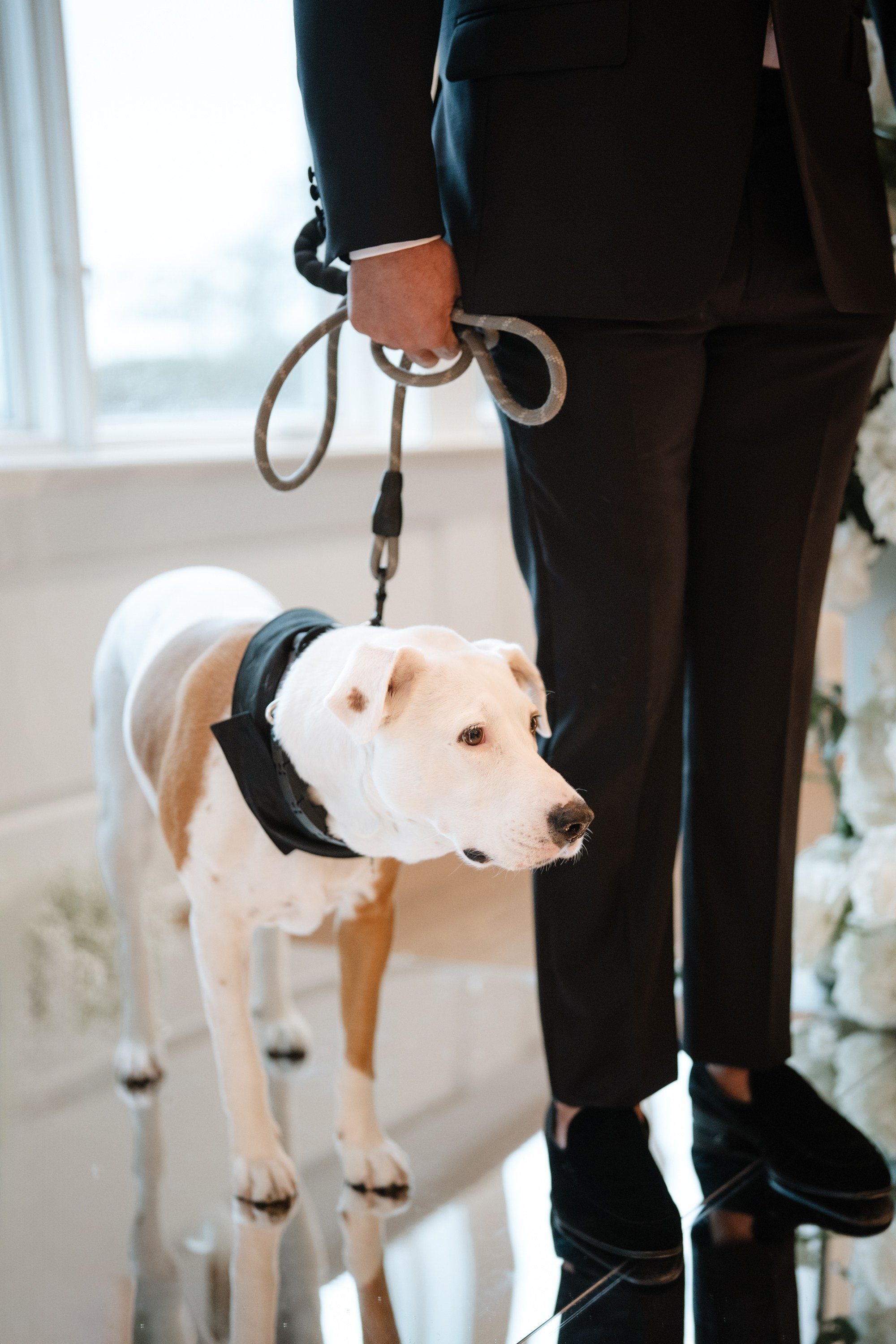 Oct 2025 — Priscilla and Keith’s wedding. Portrait and wedding photographer in New York