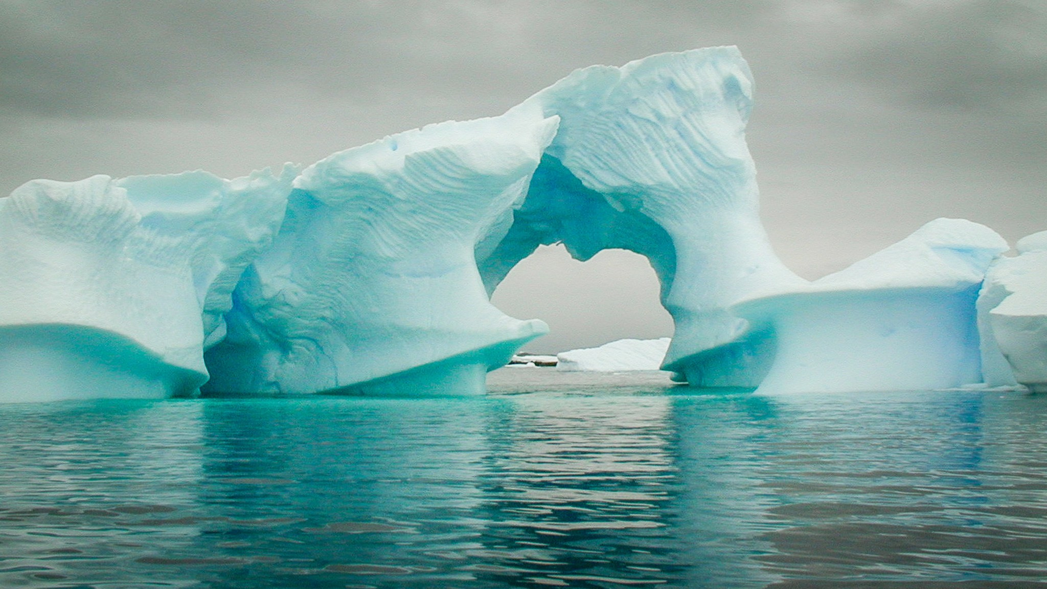 ANTARCTICA / 2004. Reportage concert portrait photography in the San Francisco Bay Area