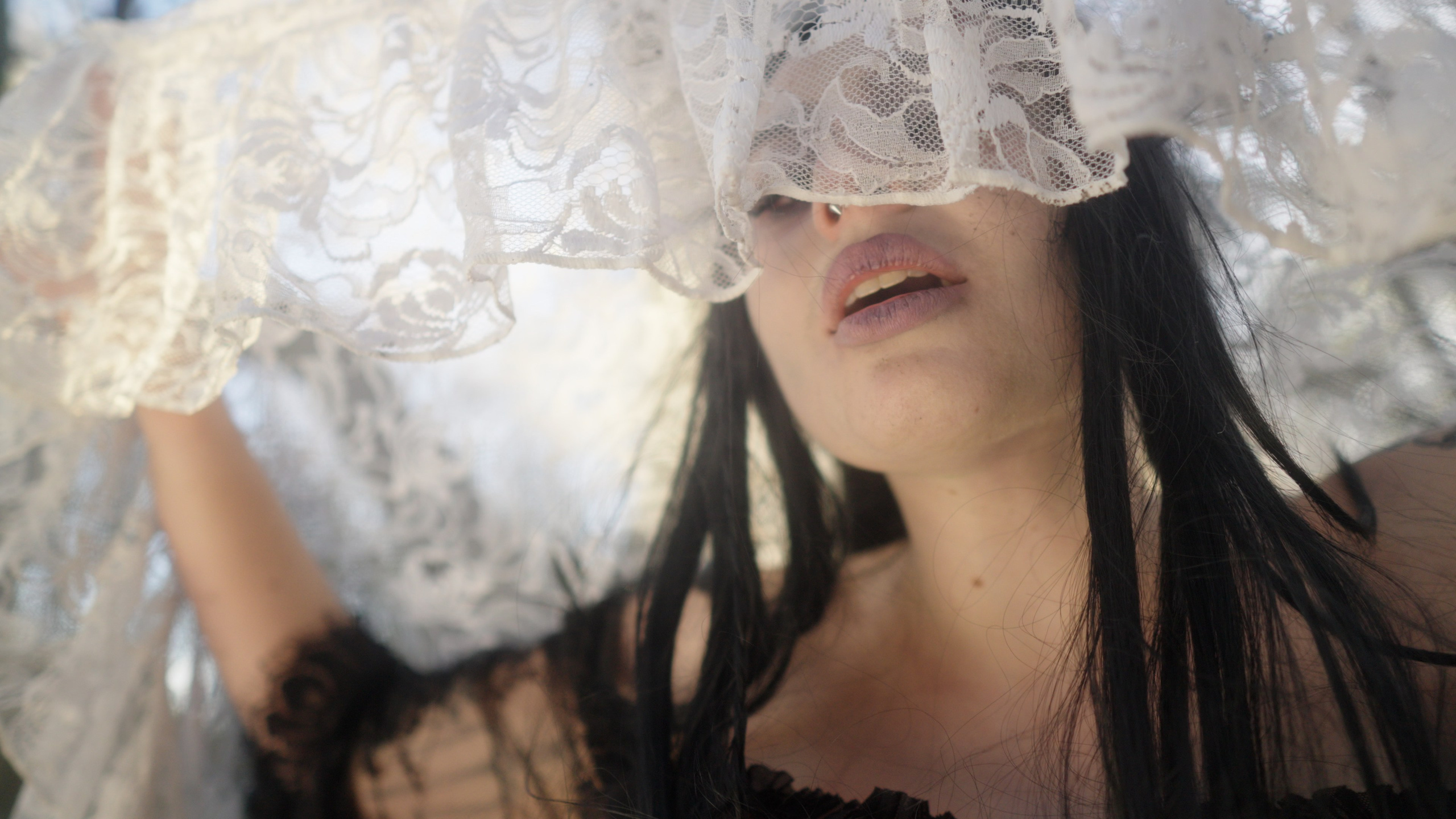 Dead Kitty Photoset. Molfar Visuals