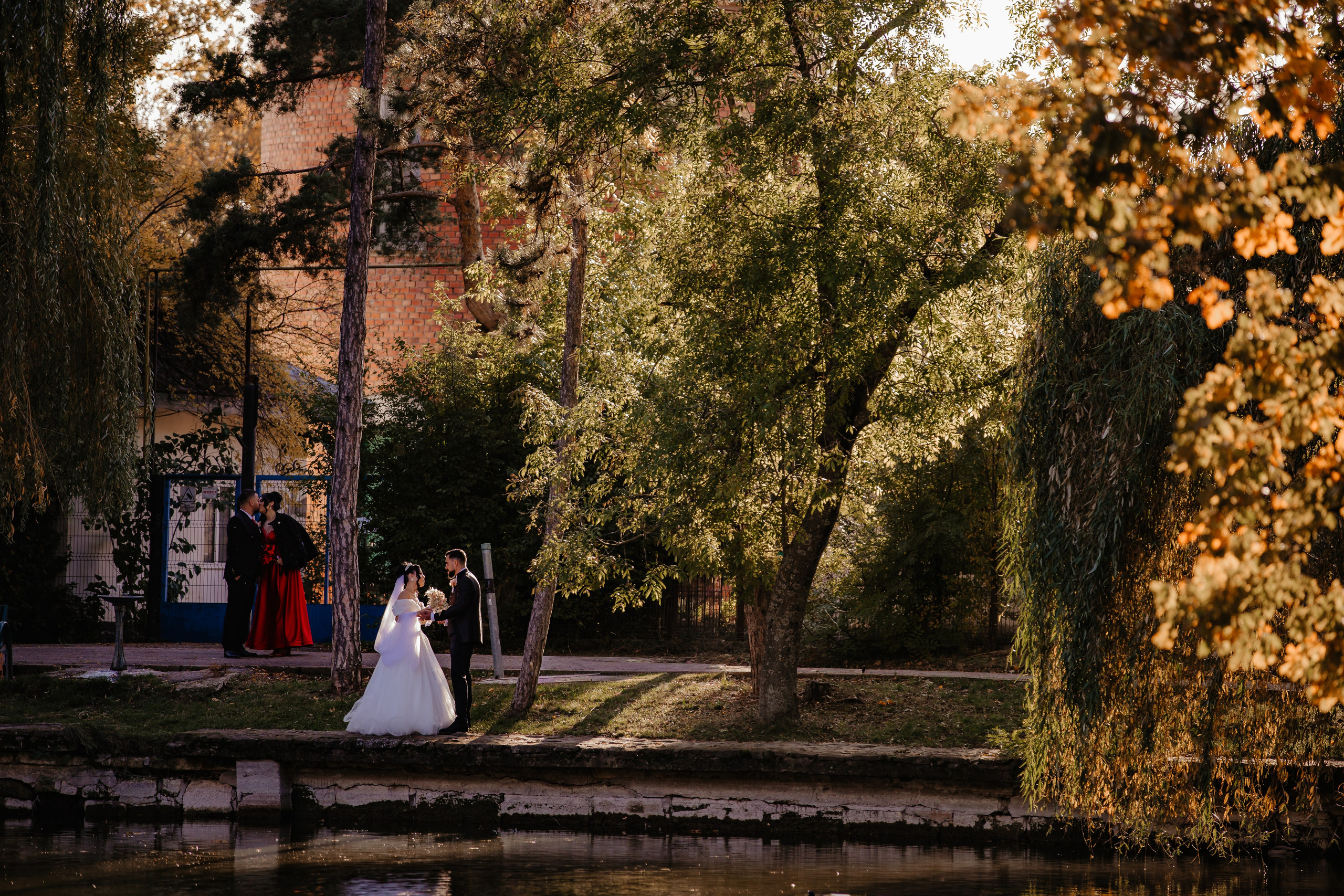 Nunta. Iacob Ciprian FOTOGRAF - VIDEOGRAF