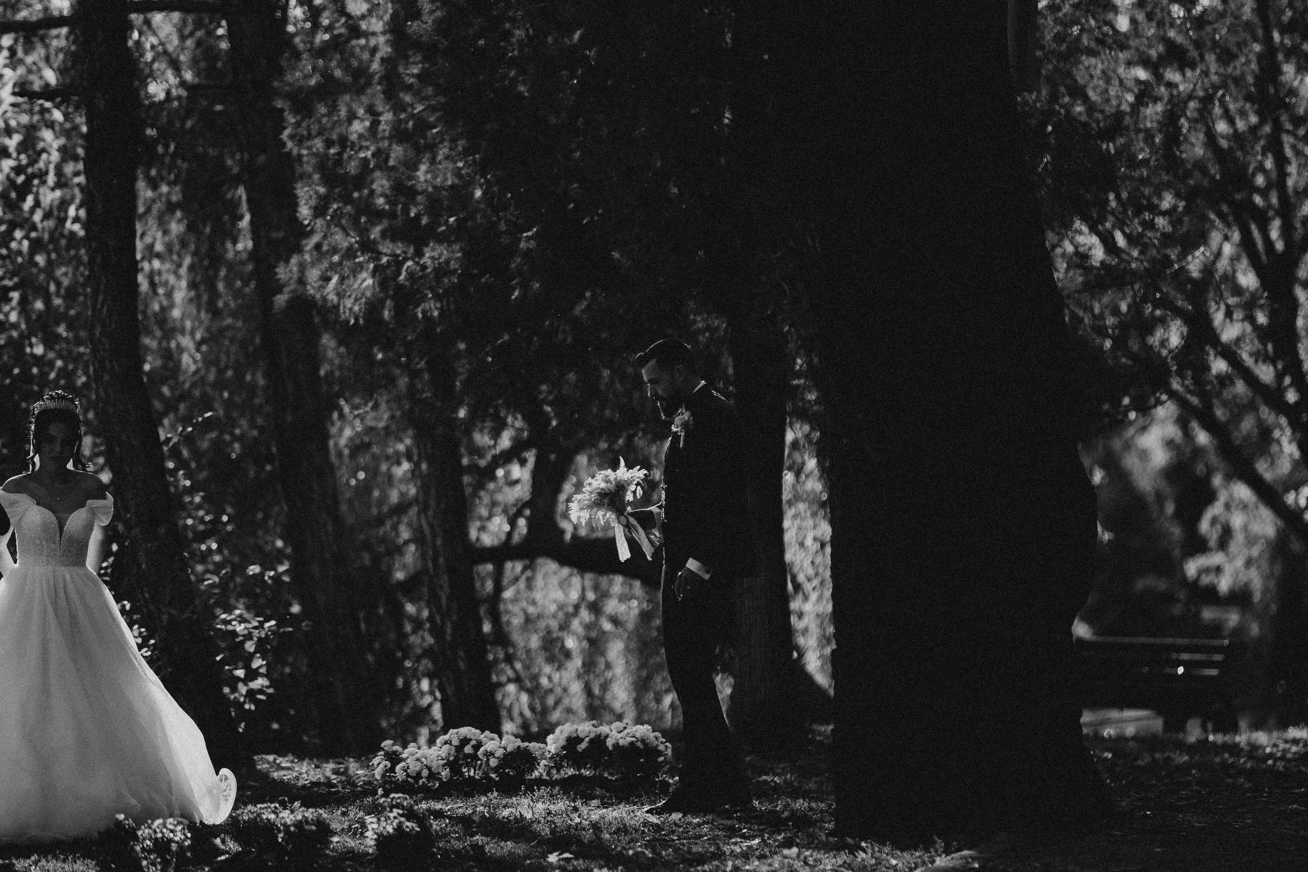 Nunta. Iacob Ciprian FOTOGRAF - VIDEOGRAF