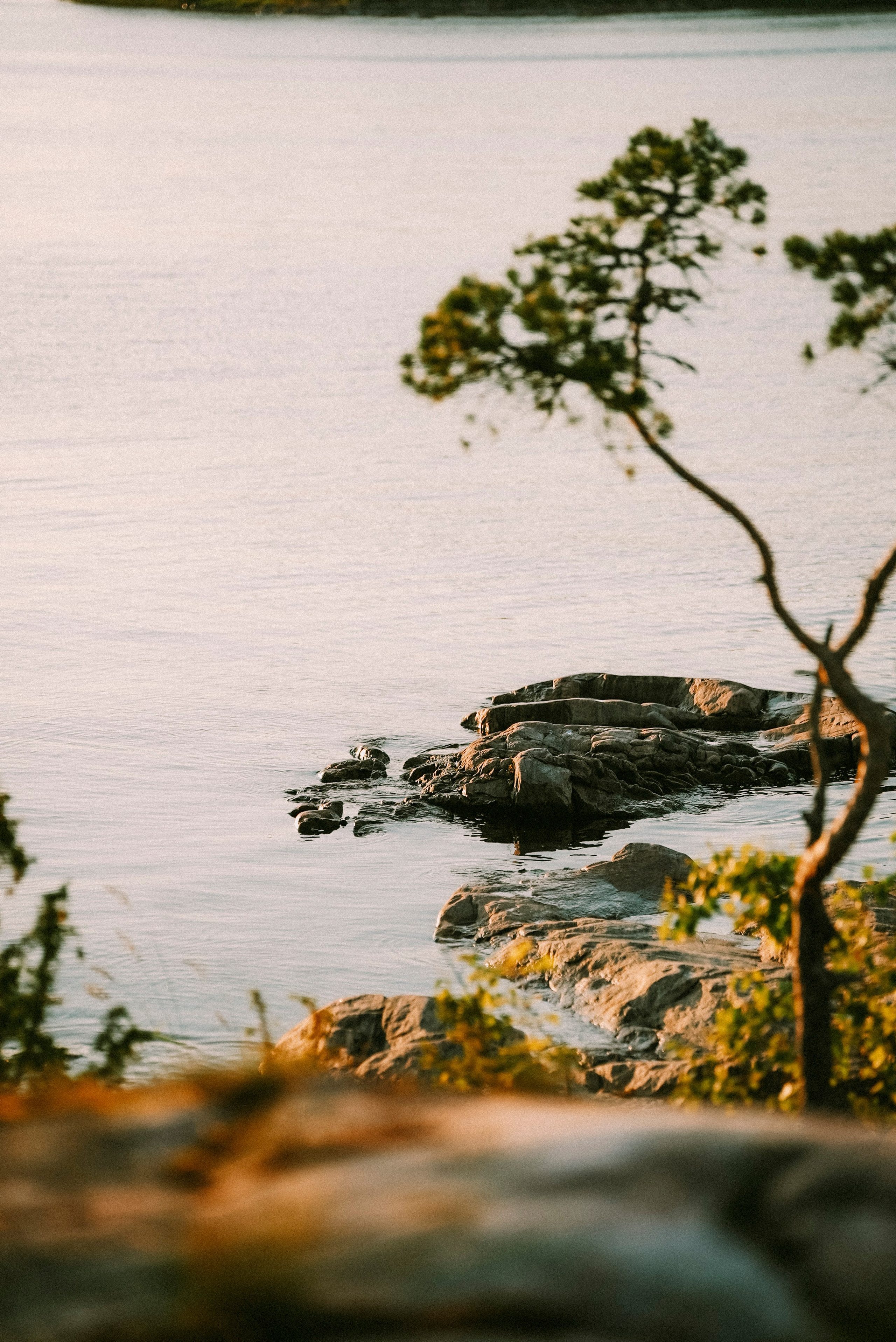 2025. Стрит-фотография, полная абсурда, идиотизма и красоты