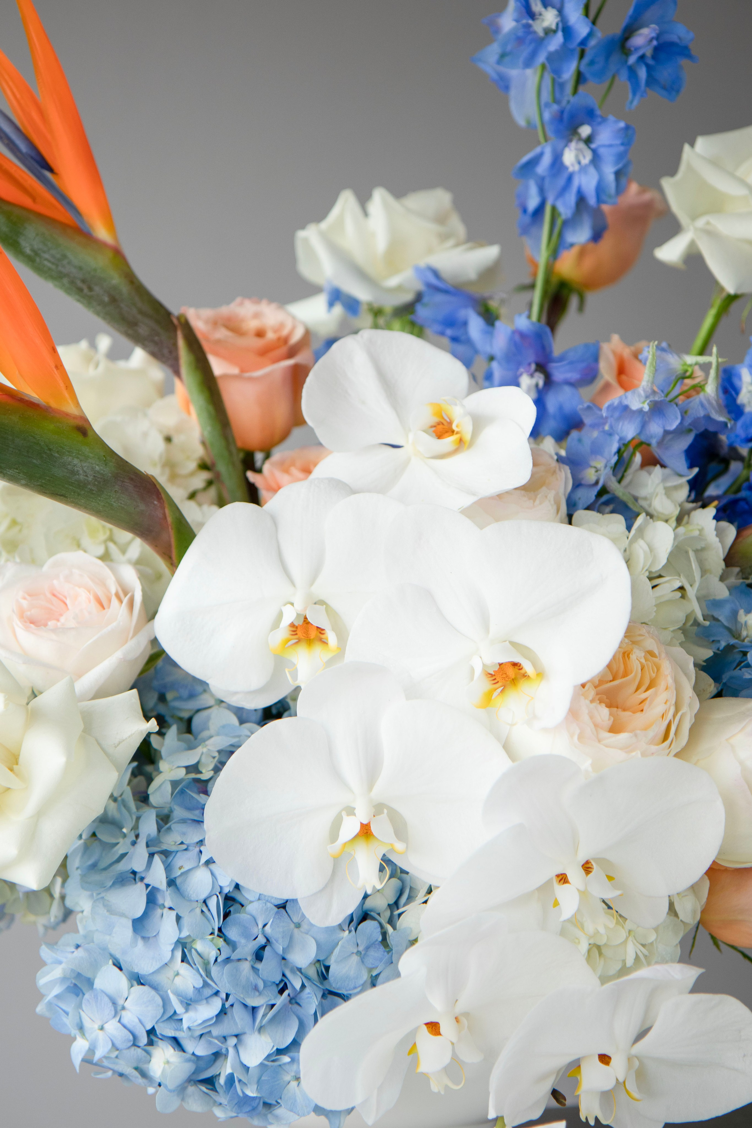 043. Palagina Ksusha, photographer in NY