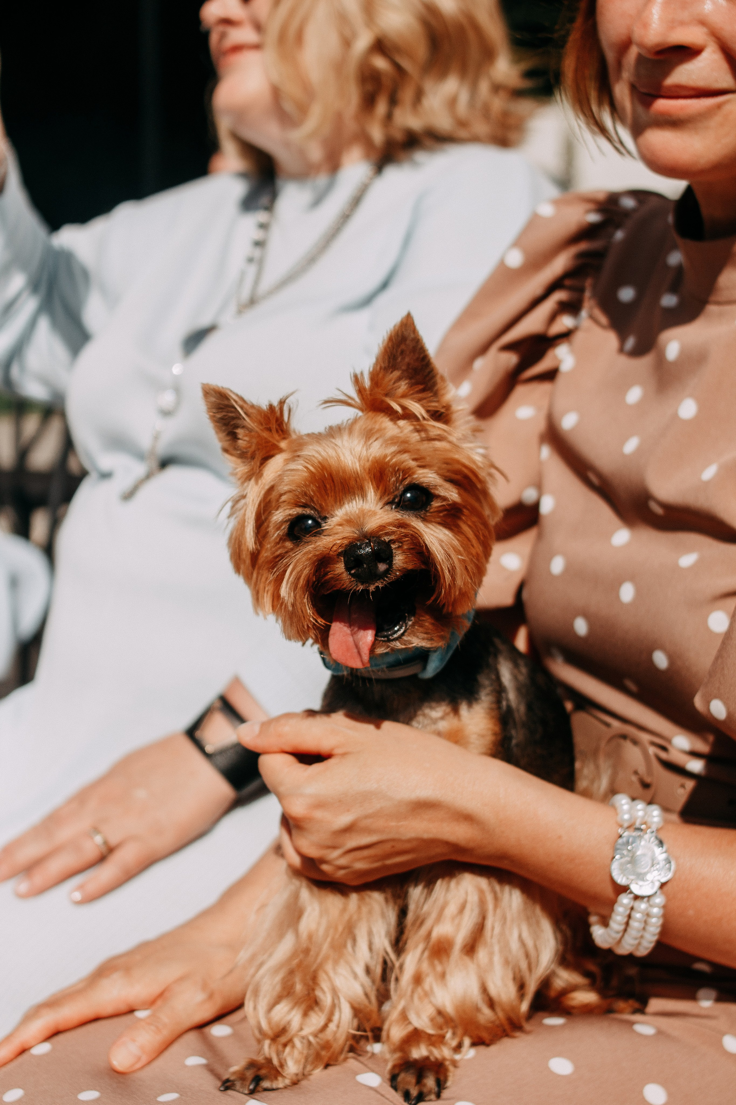 Анна и Александр. Wedding and portrait photographer in Beograd Ekaterina Makedonskaya