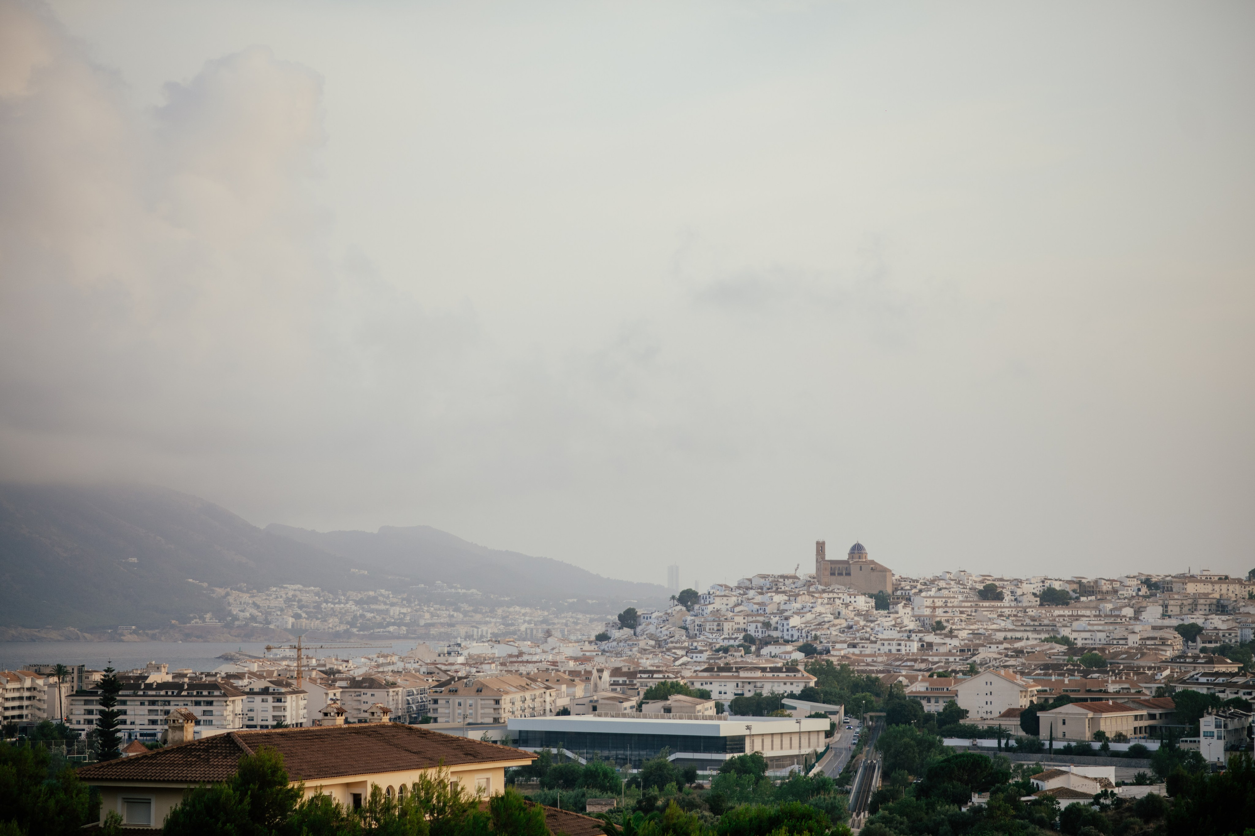 Alicia & Marc (Finca Marques de Montemolar)