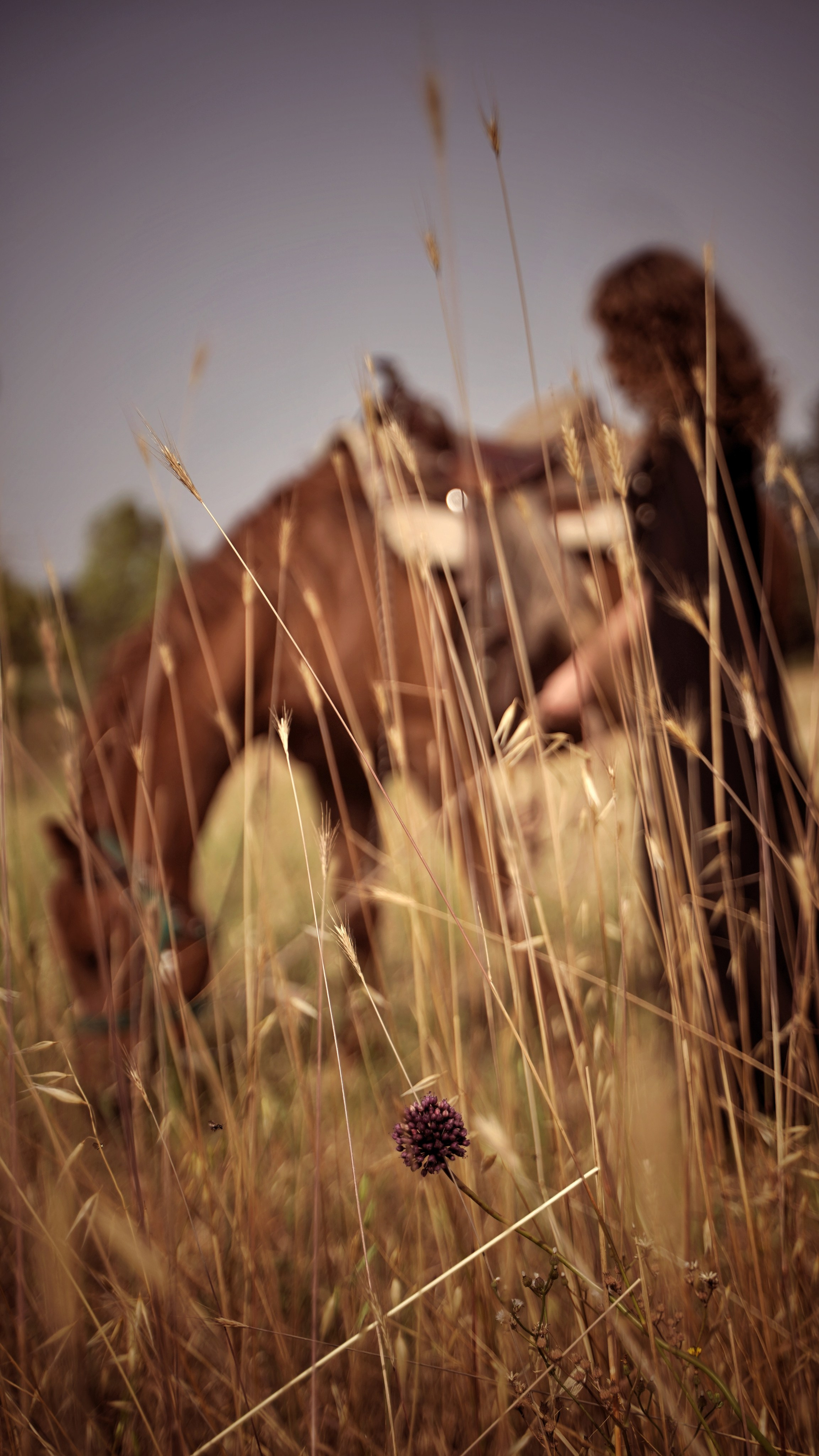 Гром. Фотограф. Визуал. Хайфа. Талья Цветкова
