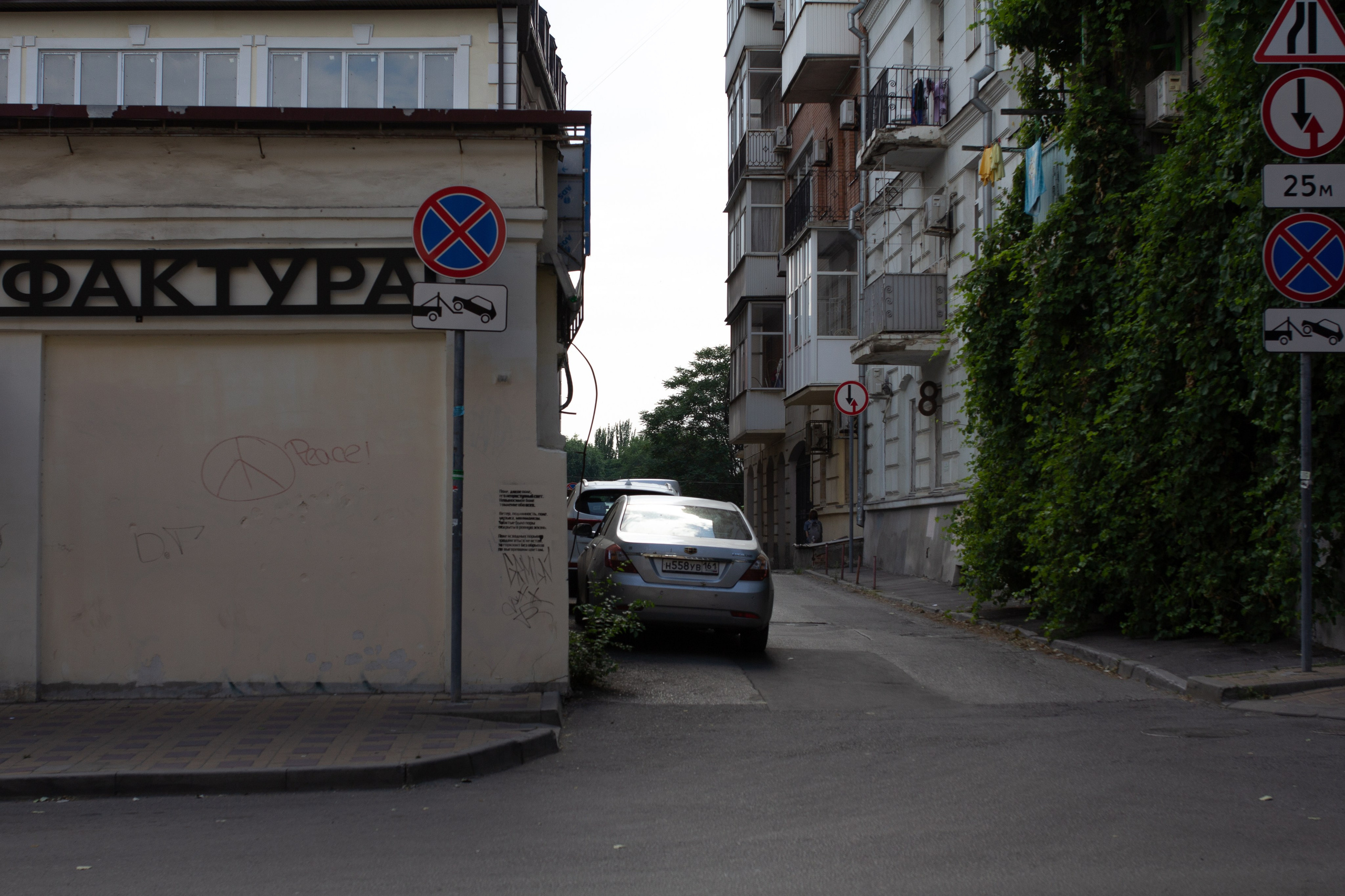 Walls'22. Visual artist