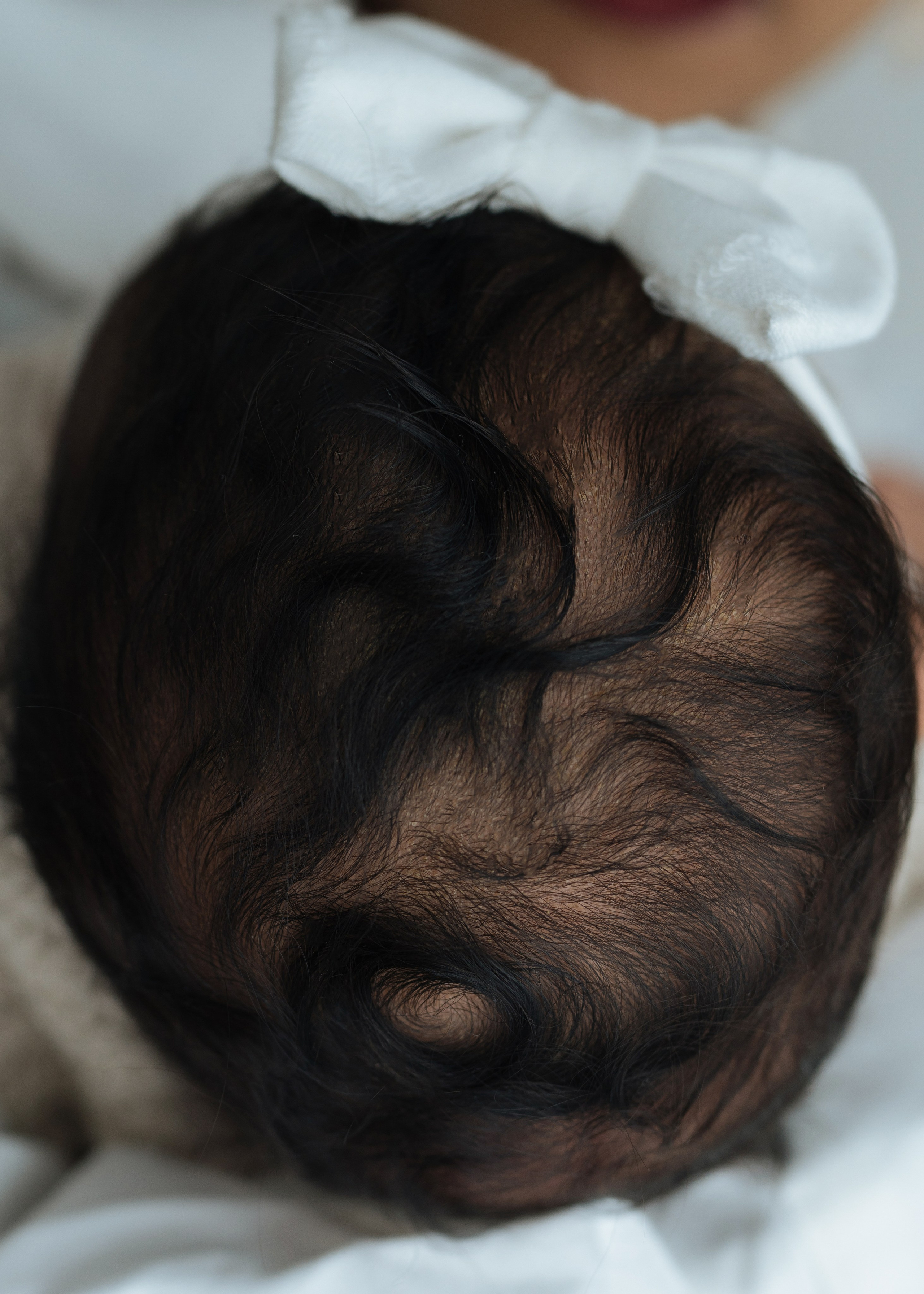 Newborn Studio. Katerina Sellitti - Newborn Fotografin aus Bern. Schweiz