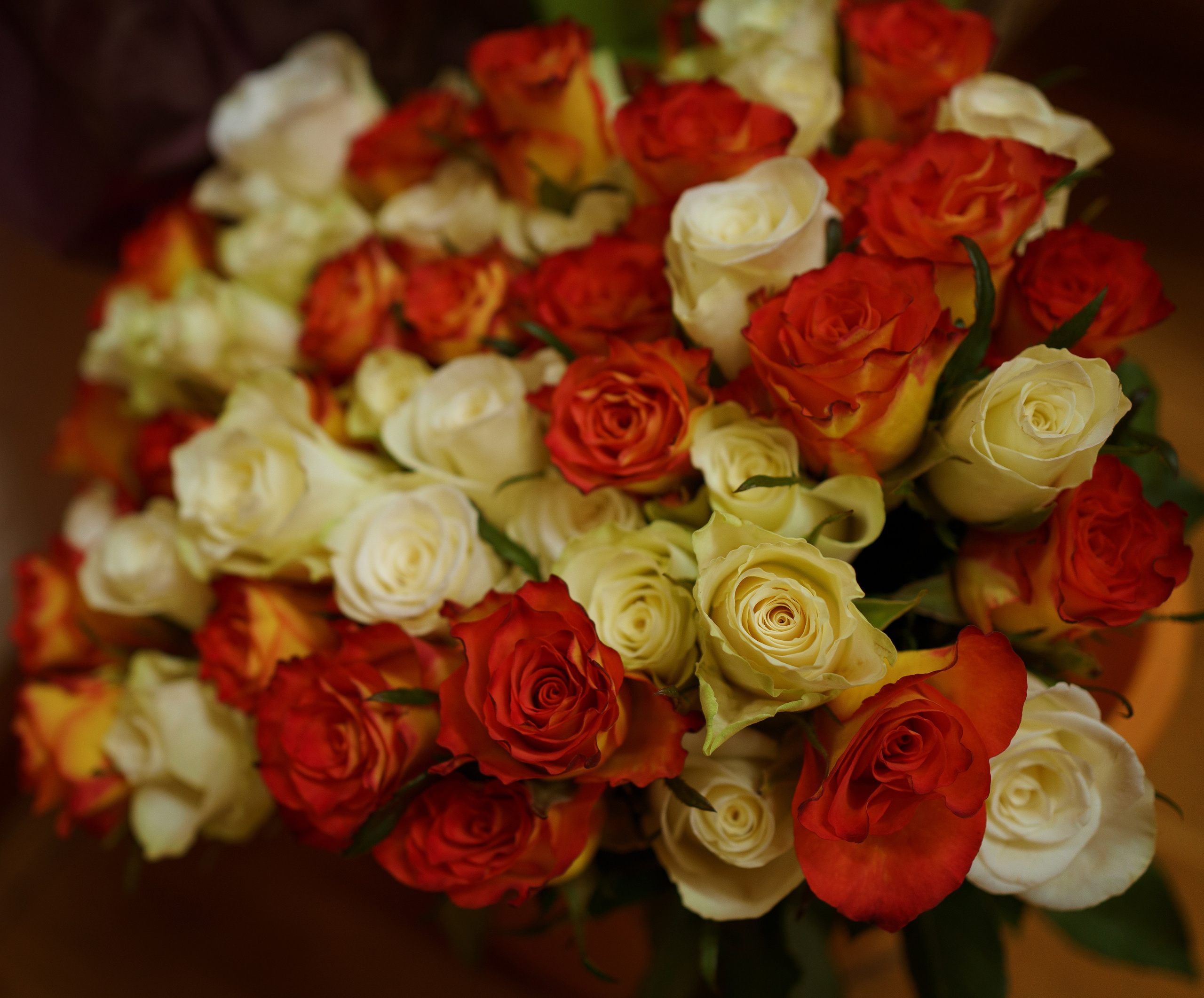 Anniversary evening beautiful lady. Jelena Upleja children and family photographer in Bognor Regis