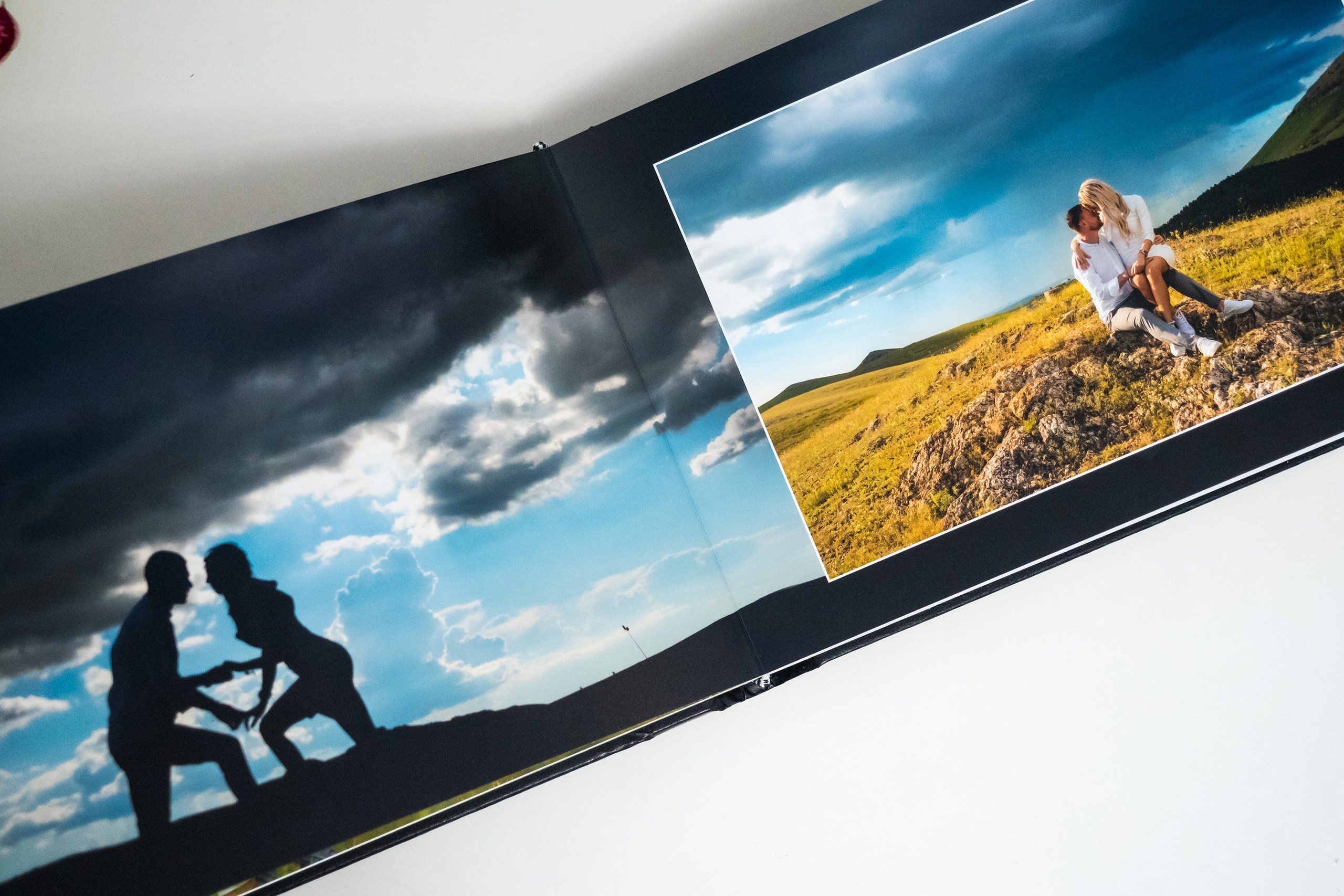 Albume Bogdan Palenciuc