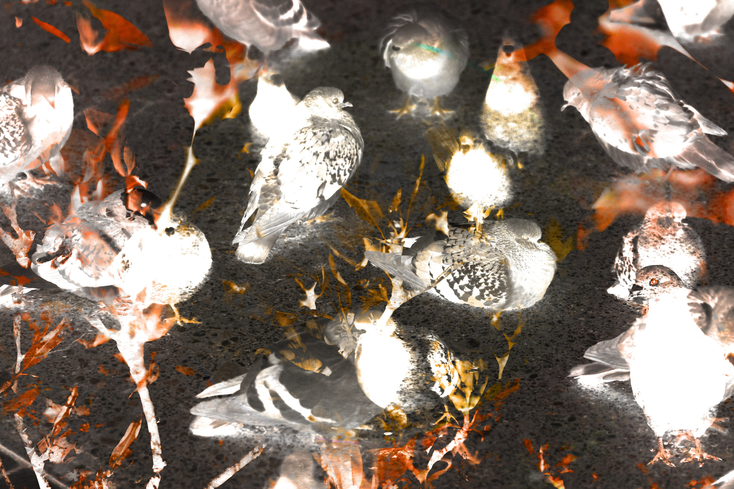 ART. Alexandru Raileanu