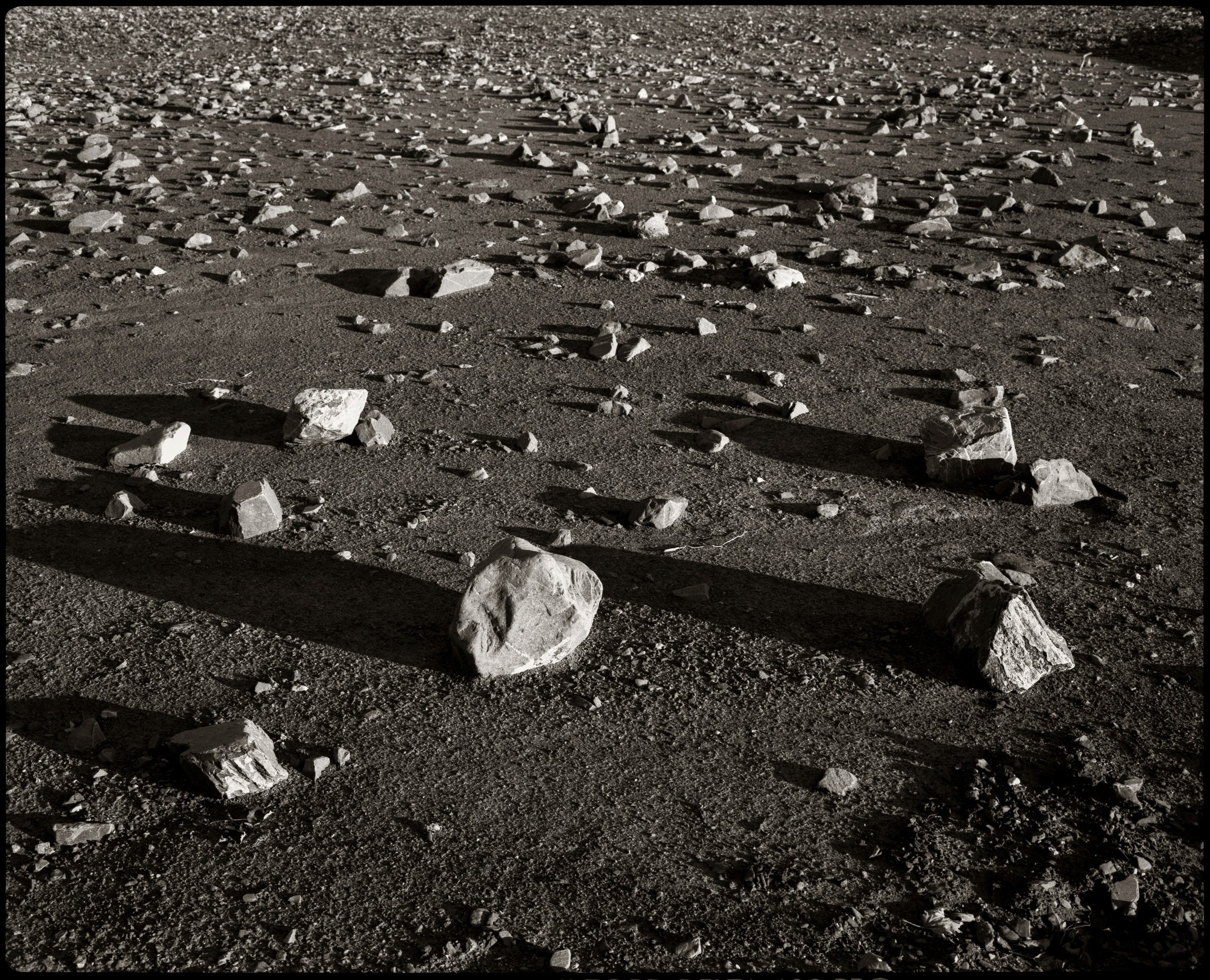 NATURE. Www.sananaleskerov.com