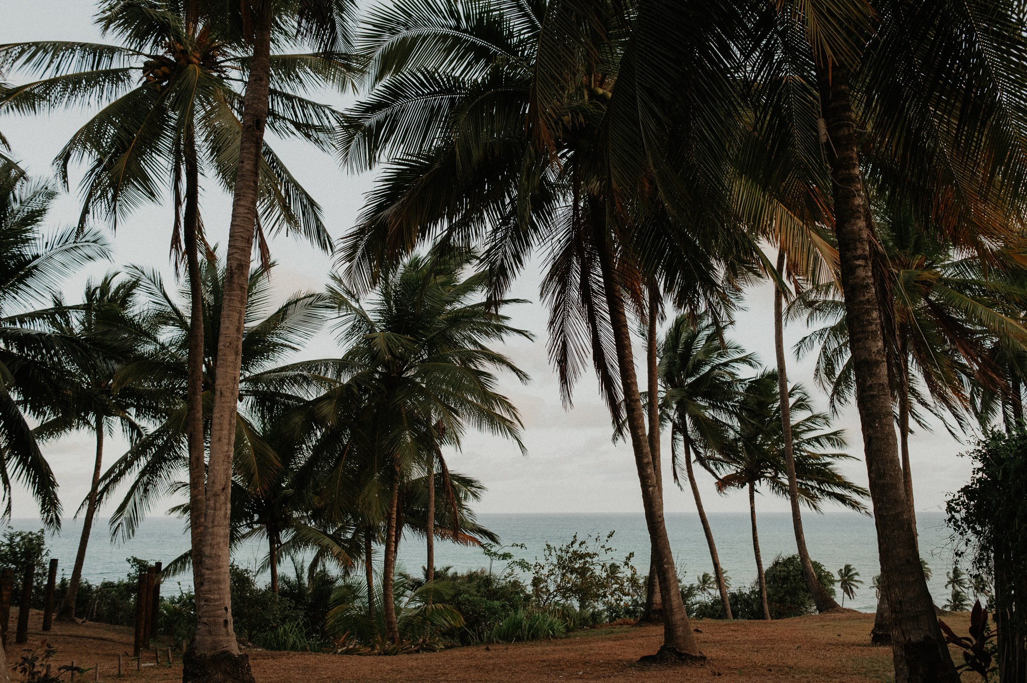 Leticia e Roberto. Fotografo de ensaios e casamentos
