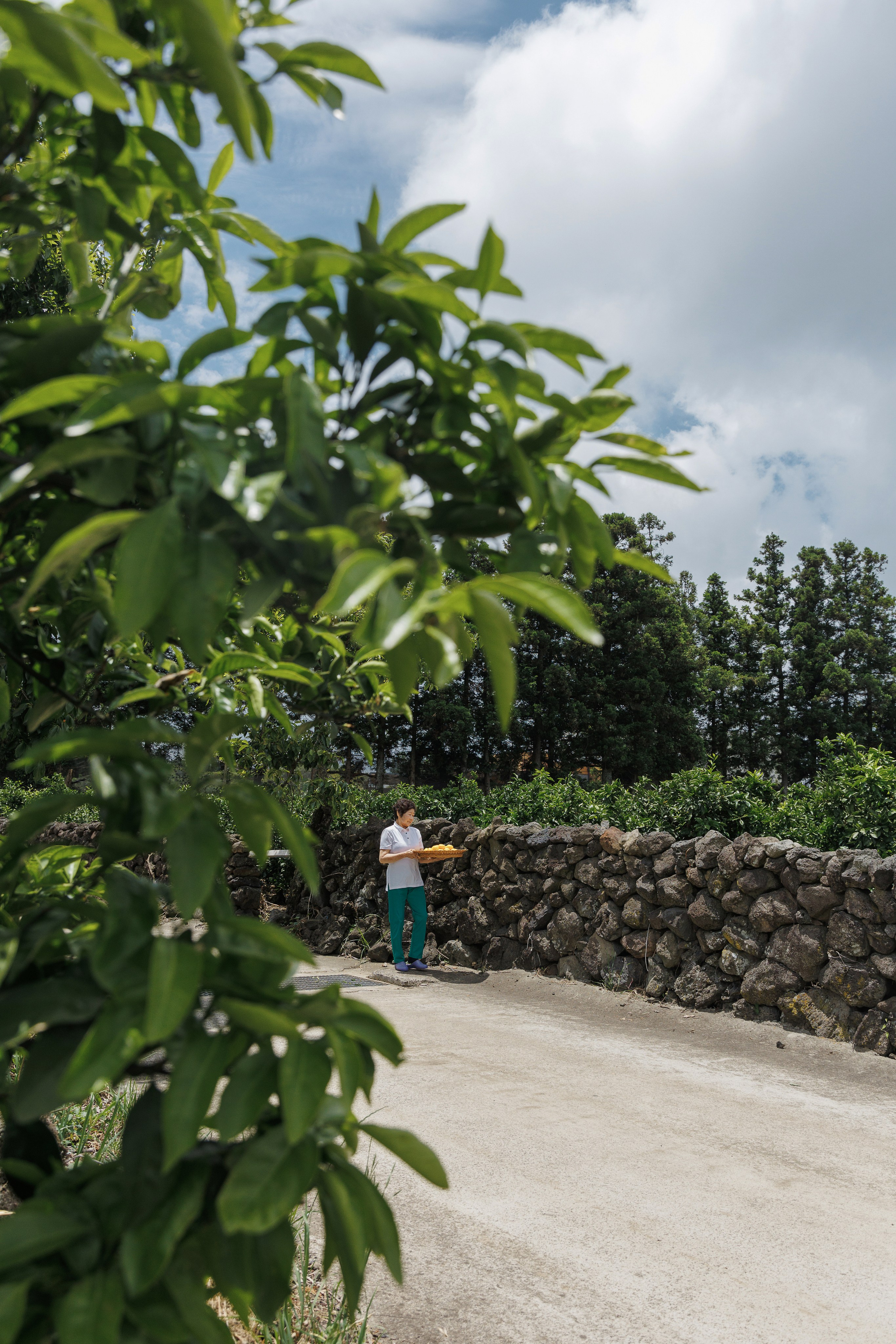 Jeju Island K-Beauty Tour (bohicare). Portrait photographer in South Korea Olga Lian