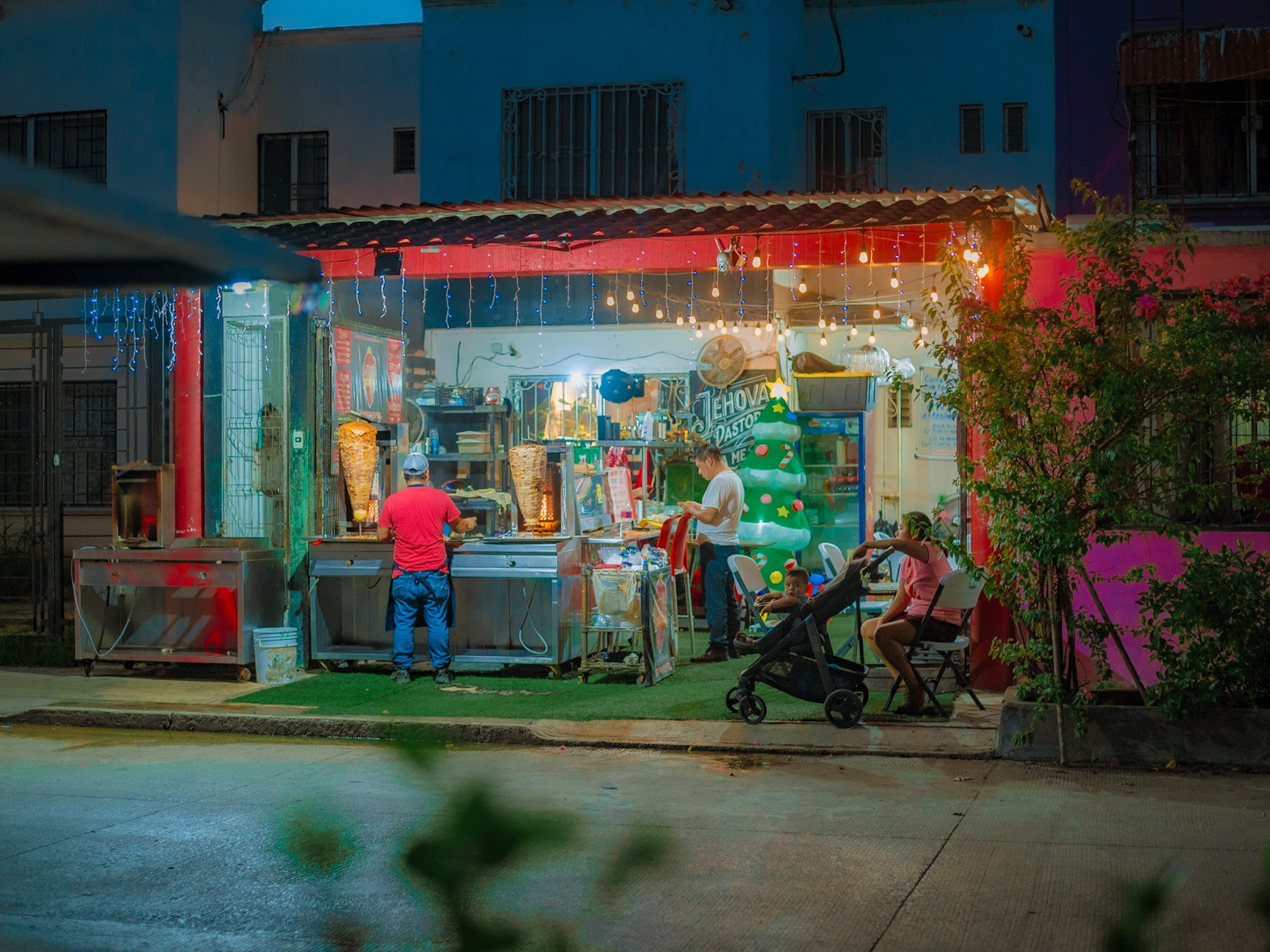 Estrellas de Buena Vista. 2025. Fotógrafo en Villahermosa | ERALPUCHE