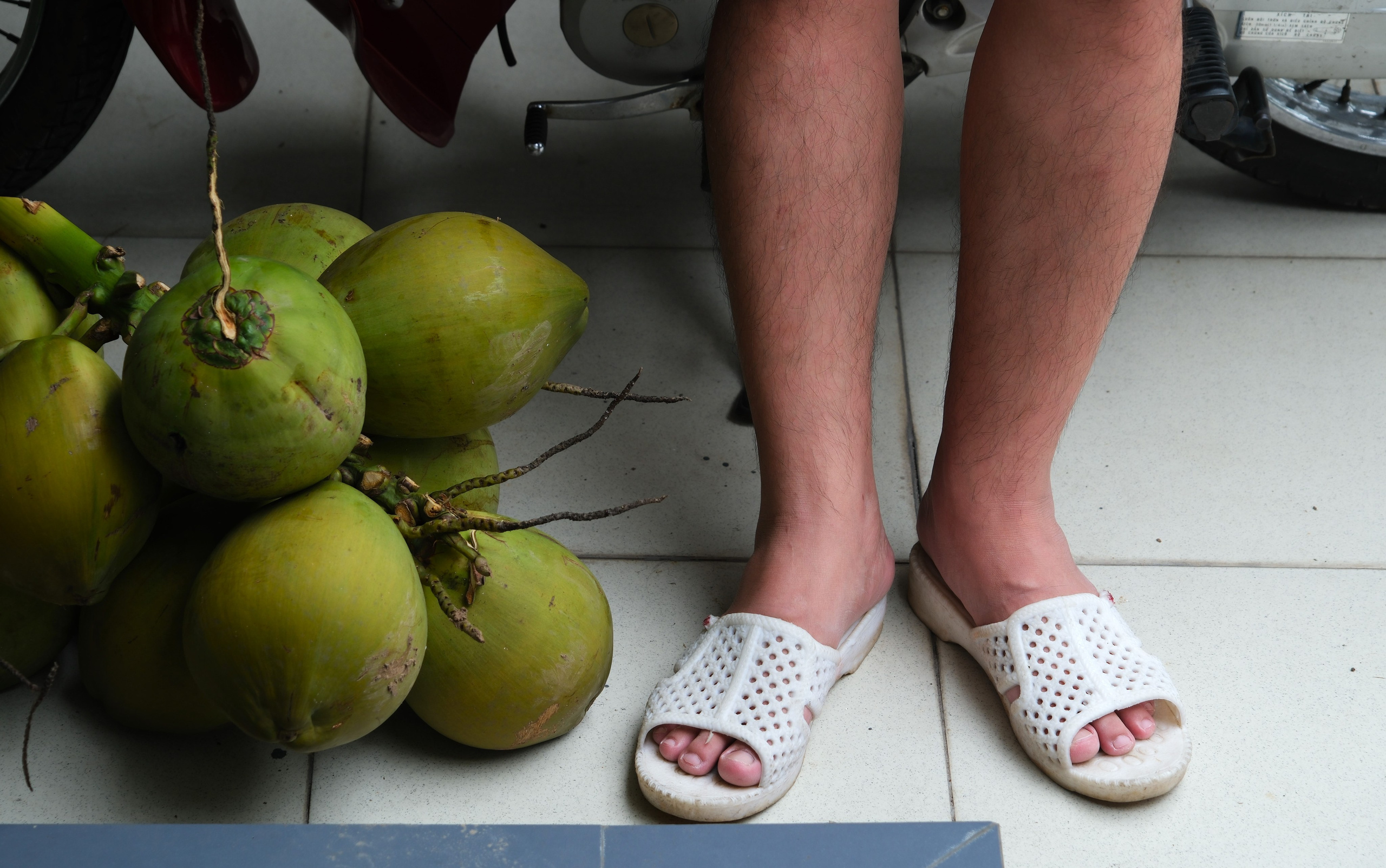 Photography. Fermented Solipsism artist & documentary photographer in California