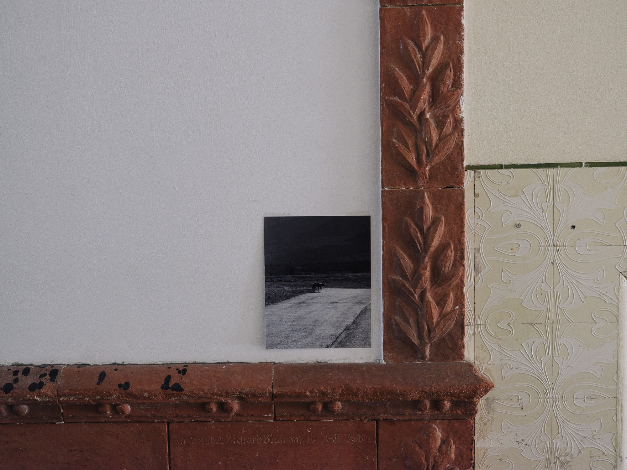 The 13th Berlin Biennale for Contemporary Art. Photographer Viktor Nikishov