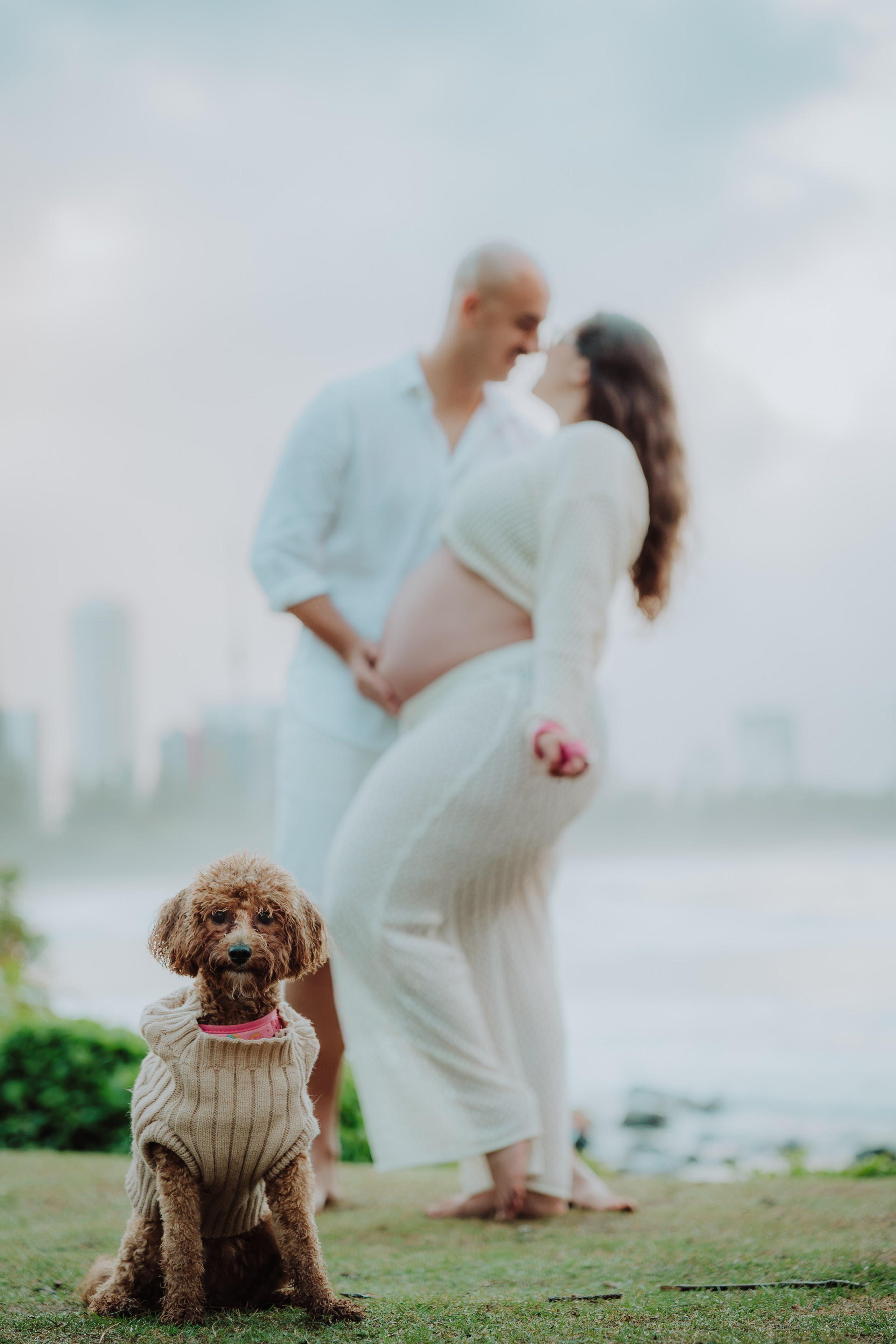 Pregnancy Photoshoot — Pamela. JS Photoshoot | Family, Events & Pet Photographer in Brisbane