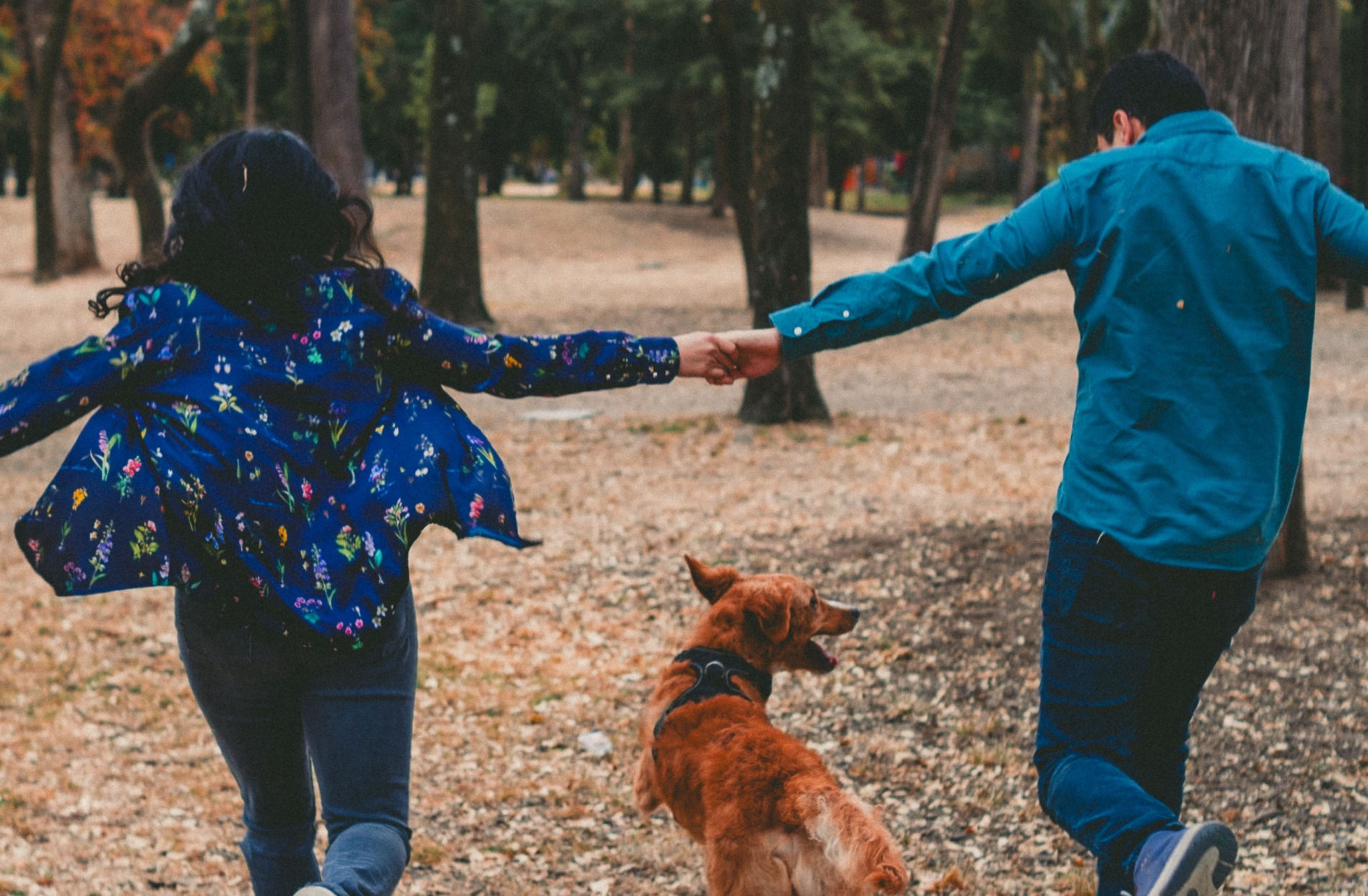 Gin & Cesar. Wedding and family photographer in Mexico City