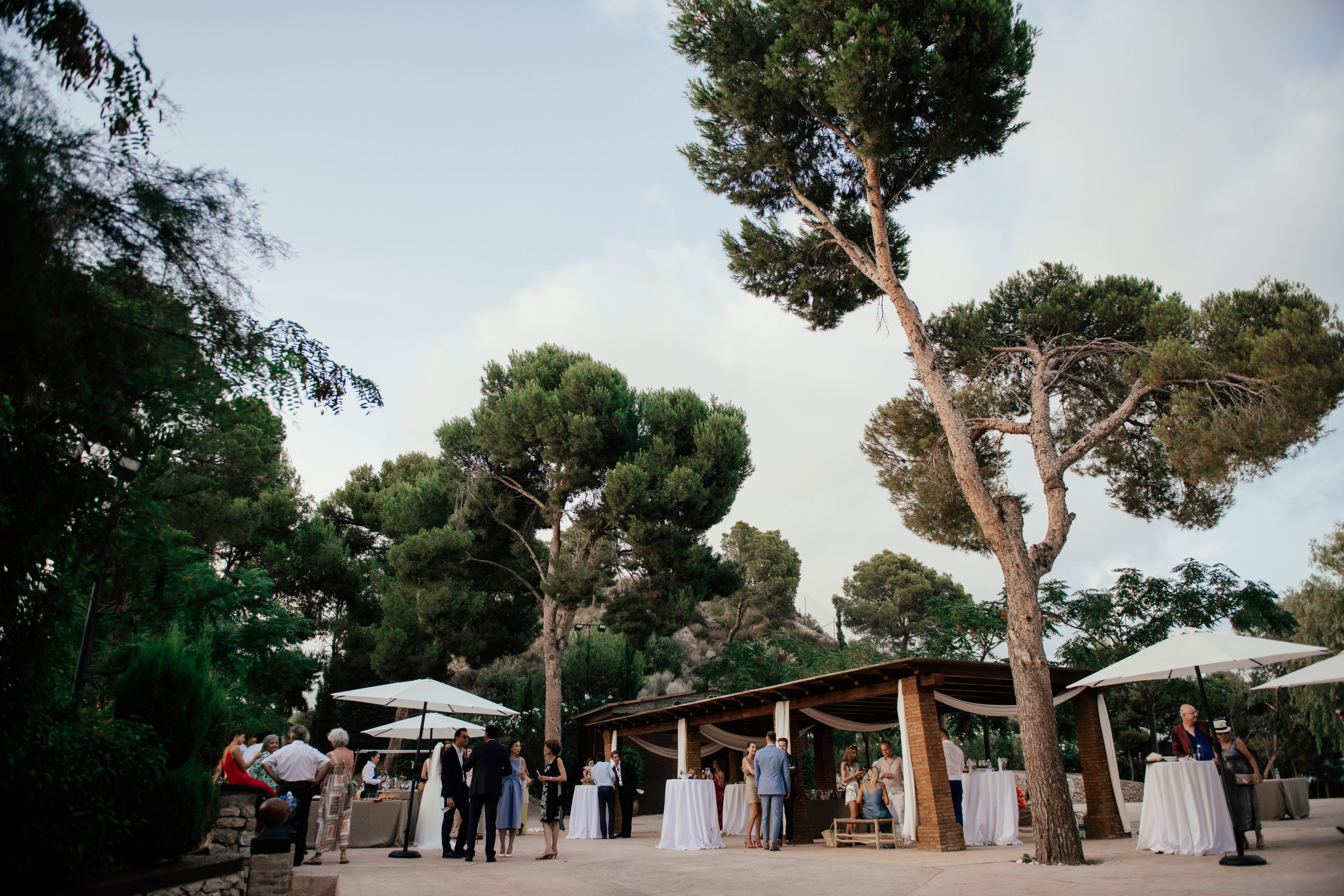 Alicia & Marc (Finca Marques de Montemolar)
