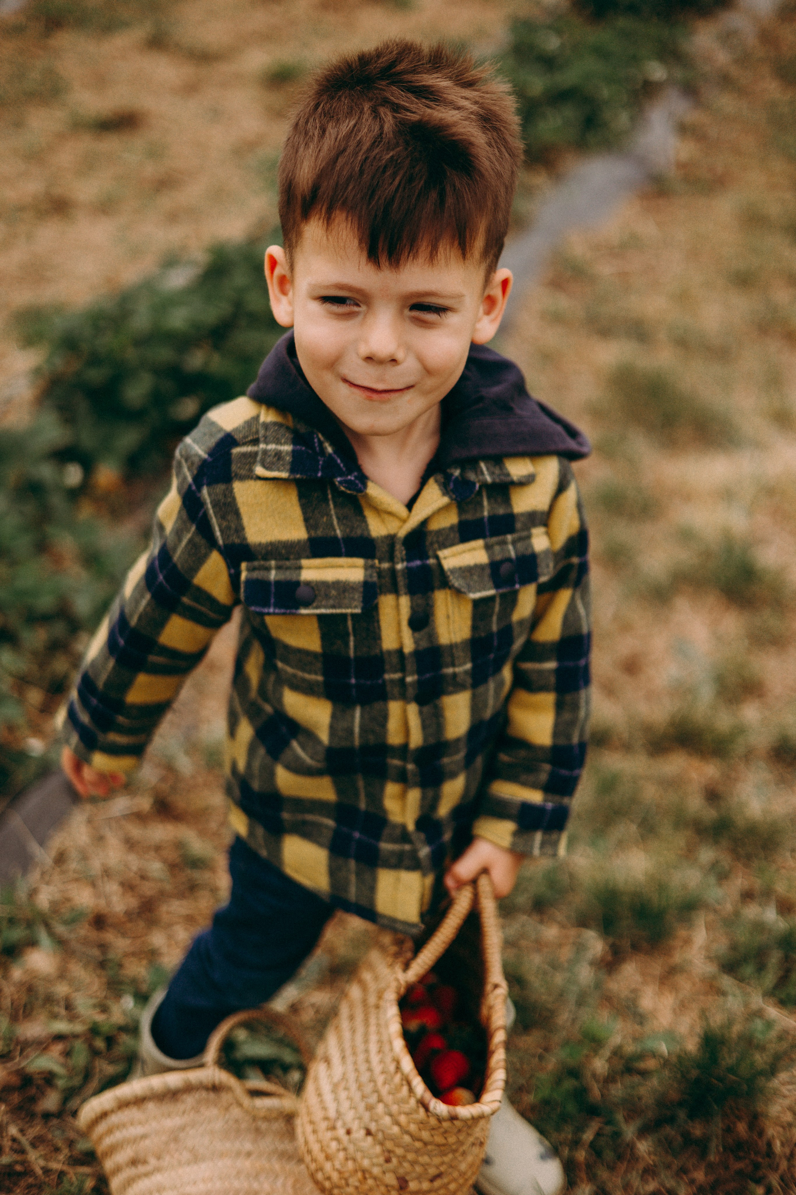 Cueilette fraise. Photographe en Côte d’Azur
