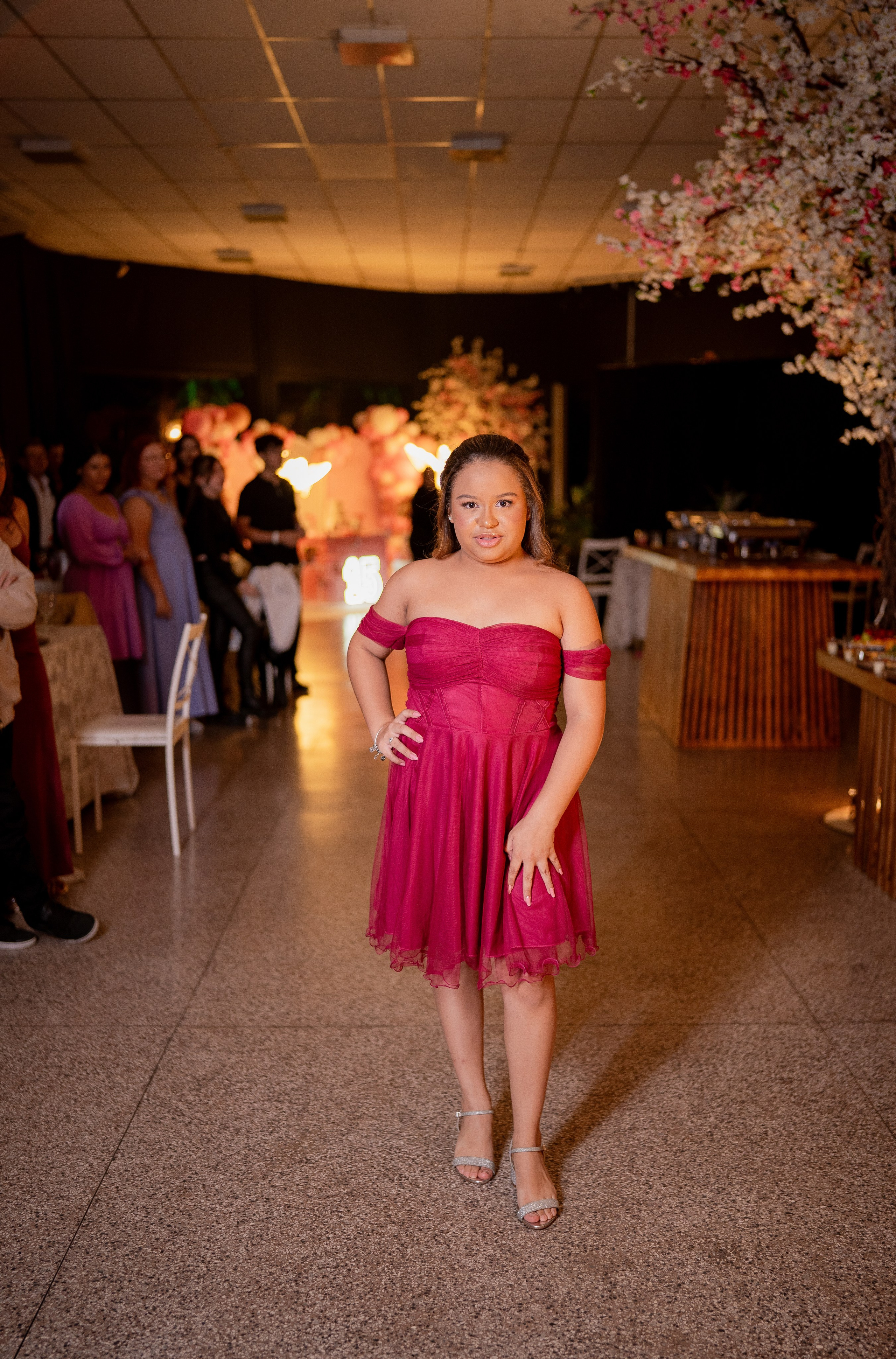 Isabela — 15 anos Buffet Talita Rodrigues / Piratininga — SP. Robson Colaço