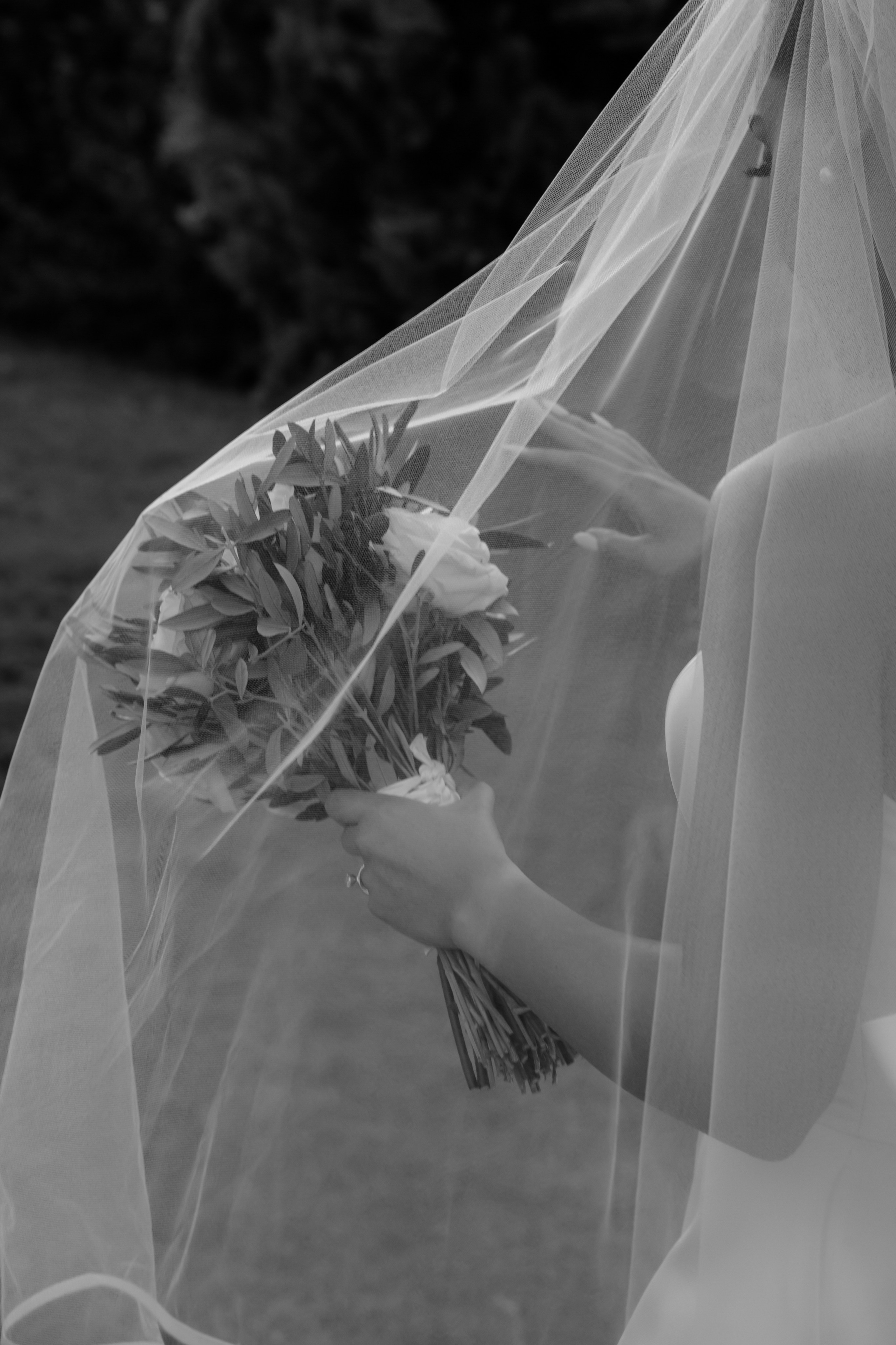 Dom&Ally. Весільний фотограф Вікторія Саврук