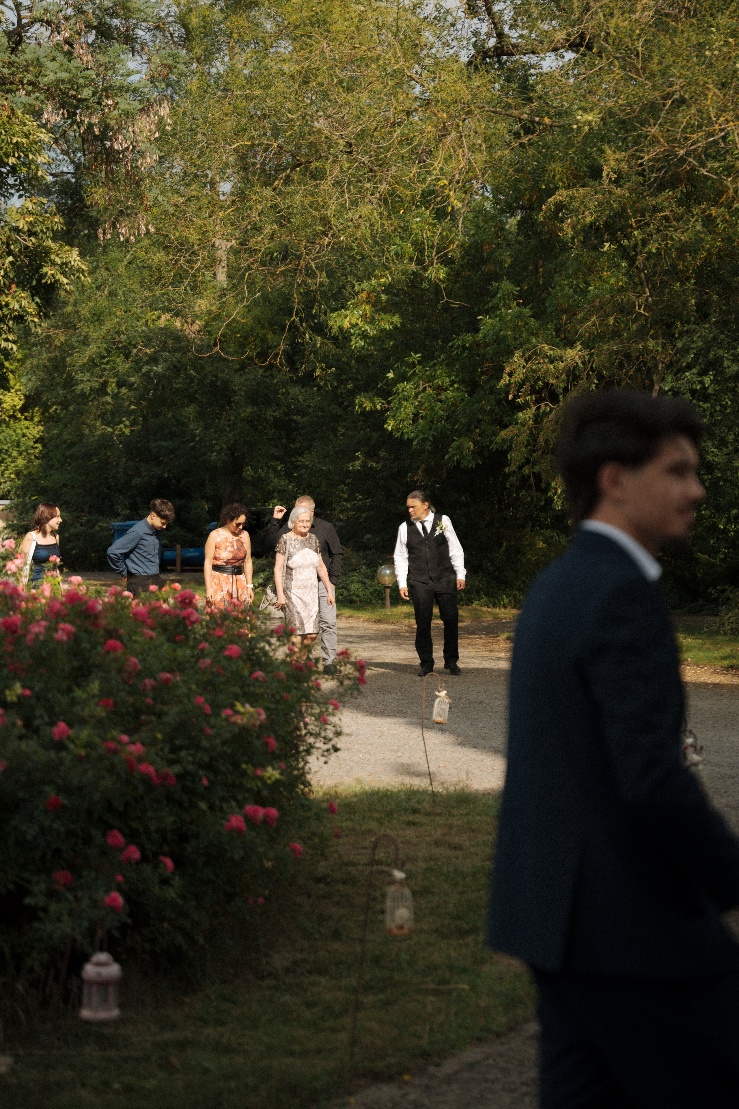 Beatrix és ferenc album. Csilla visuals