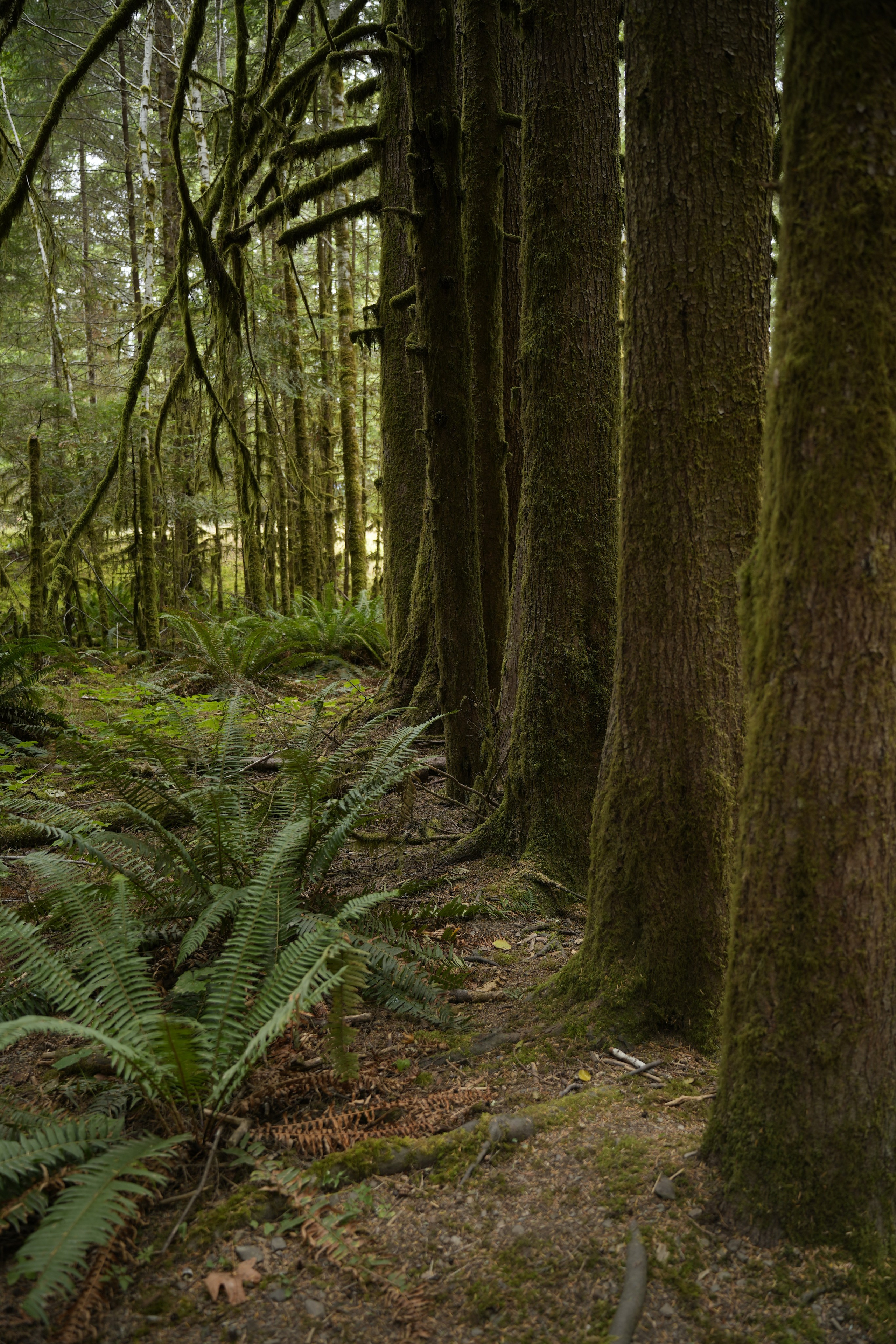 Photographer New York / Los Angeles