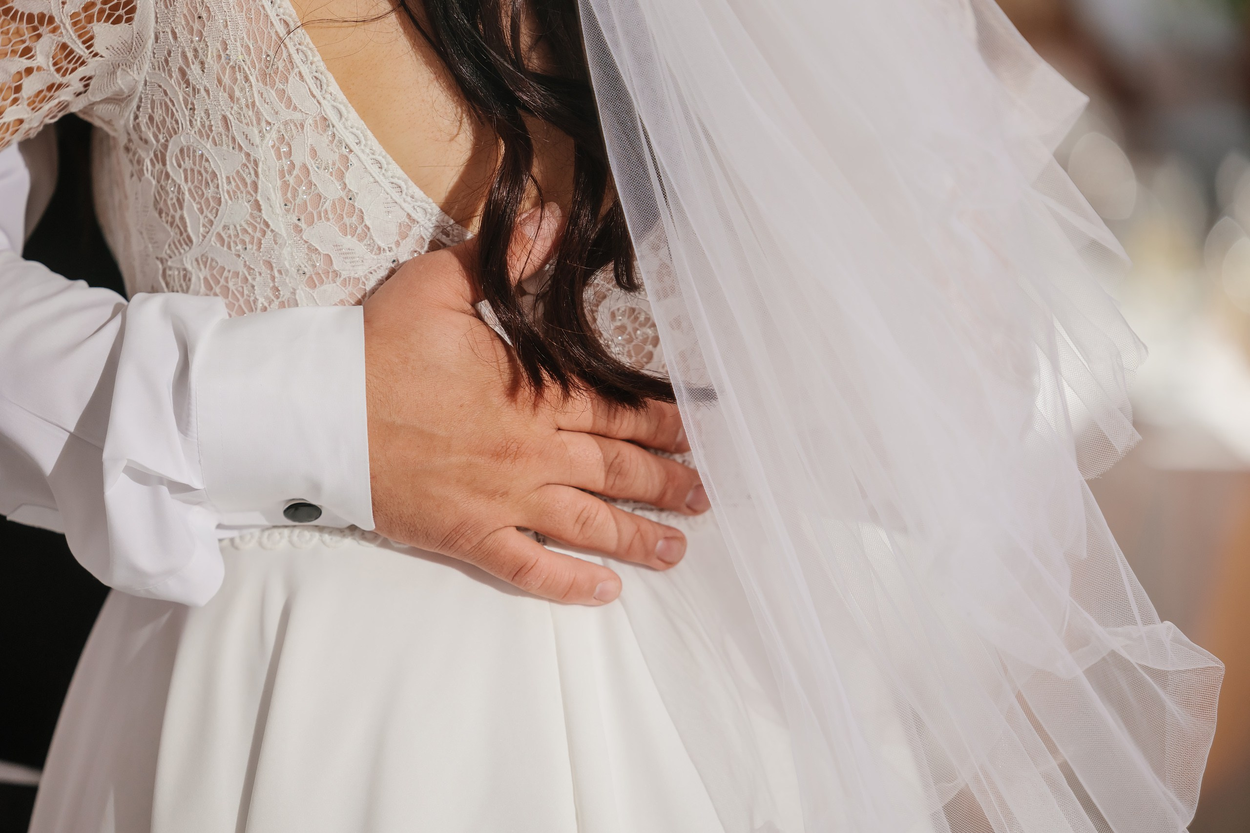 31.08.2024 Wedding. Wedding family event photographer in Chicago Nick Yushevich