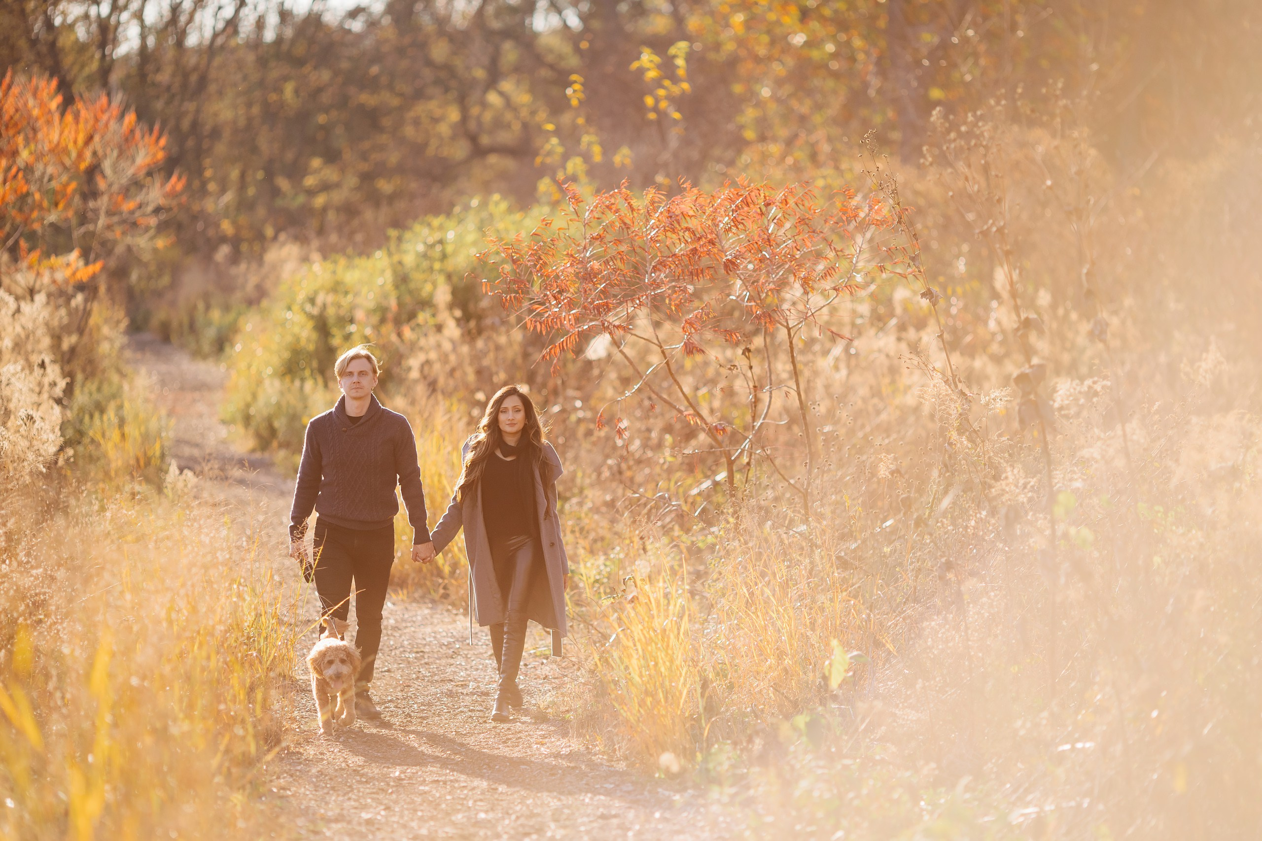 11.02.2024 Love Story. Wedding family event photographer in Chicago Nick Yushevich