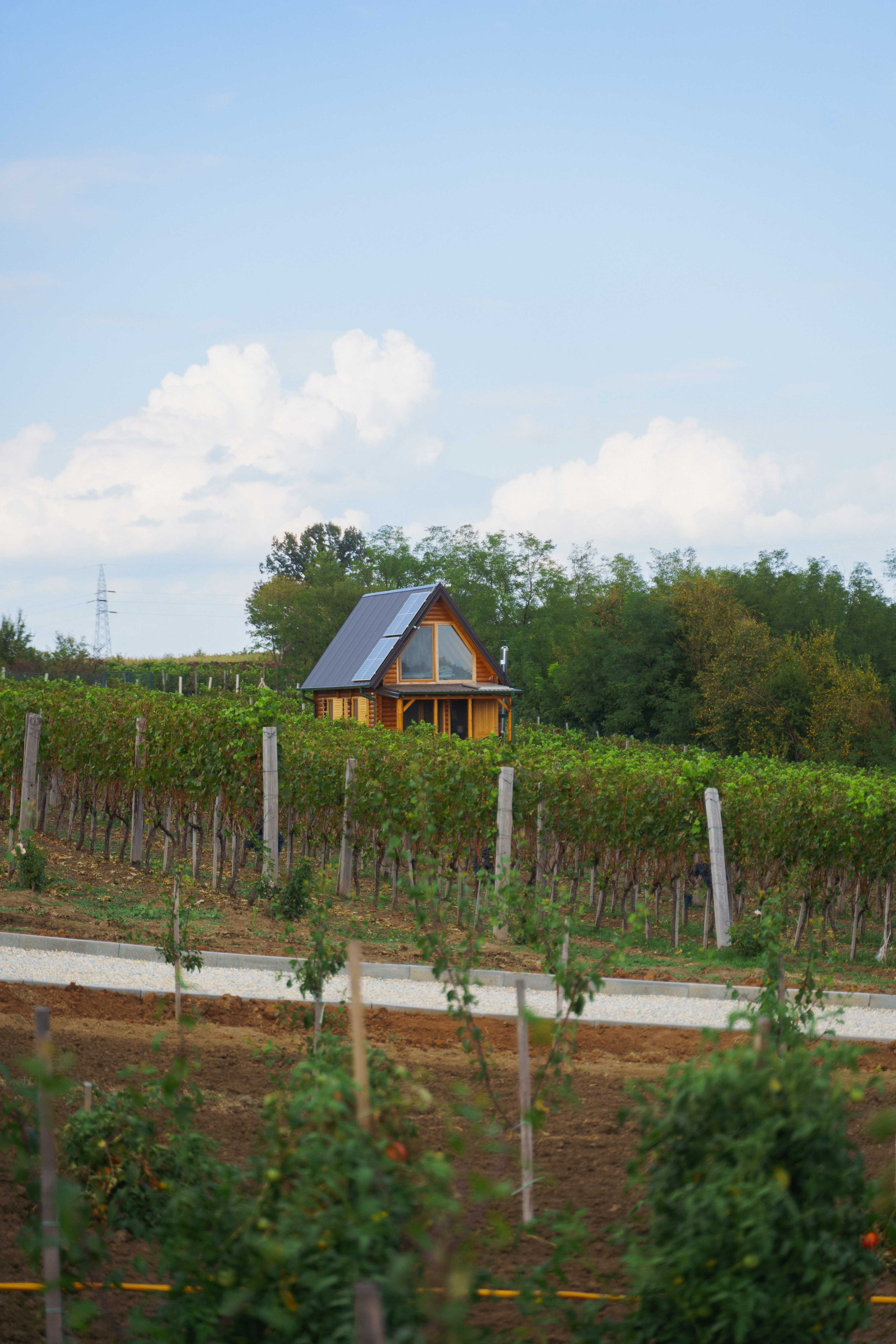 Jeep Commerce Event. Žukov Studio