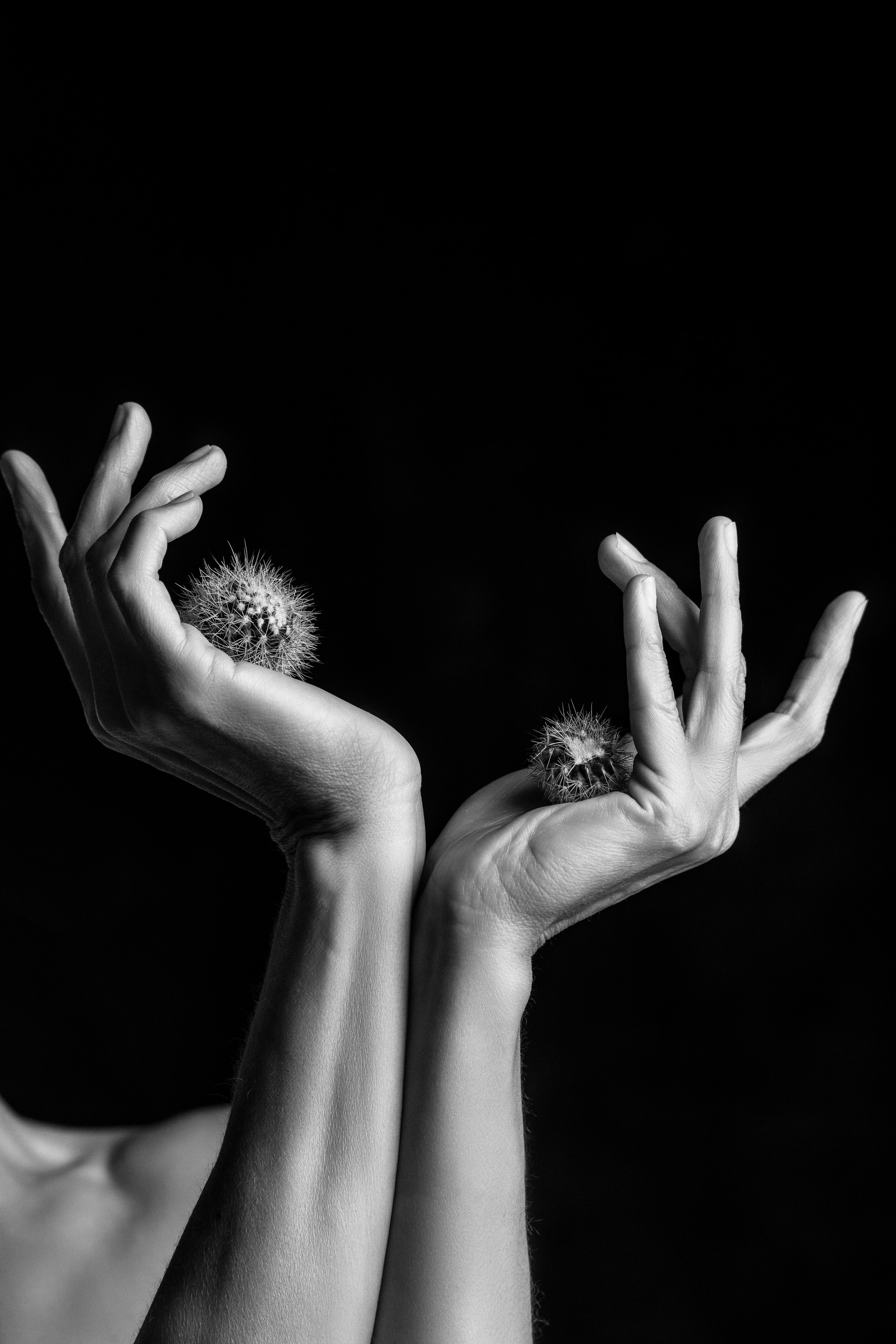 Tasha 28.07.2024. Portree- ja perefotograaf Anton Hansen Tallinnas, Eestis