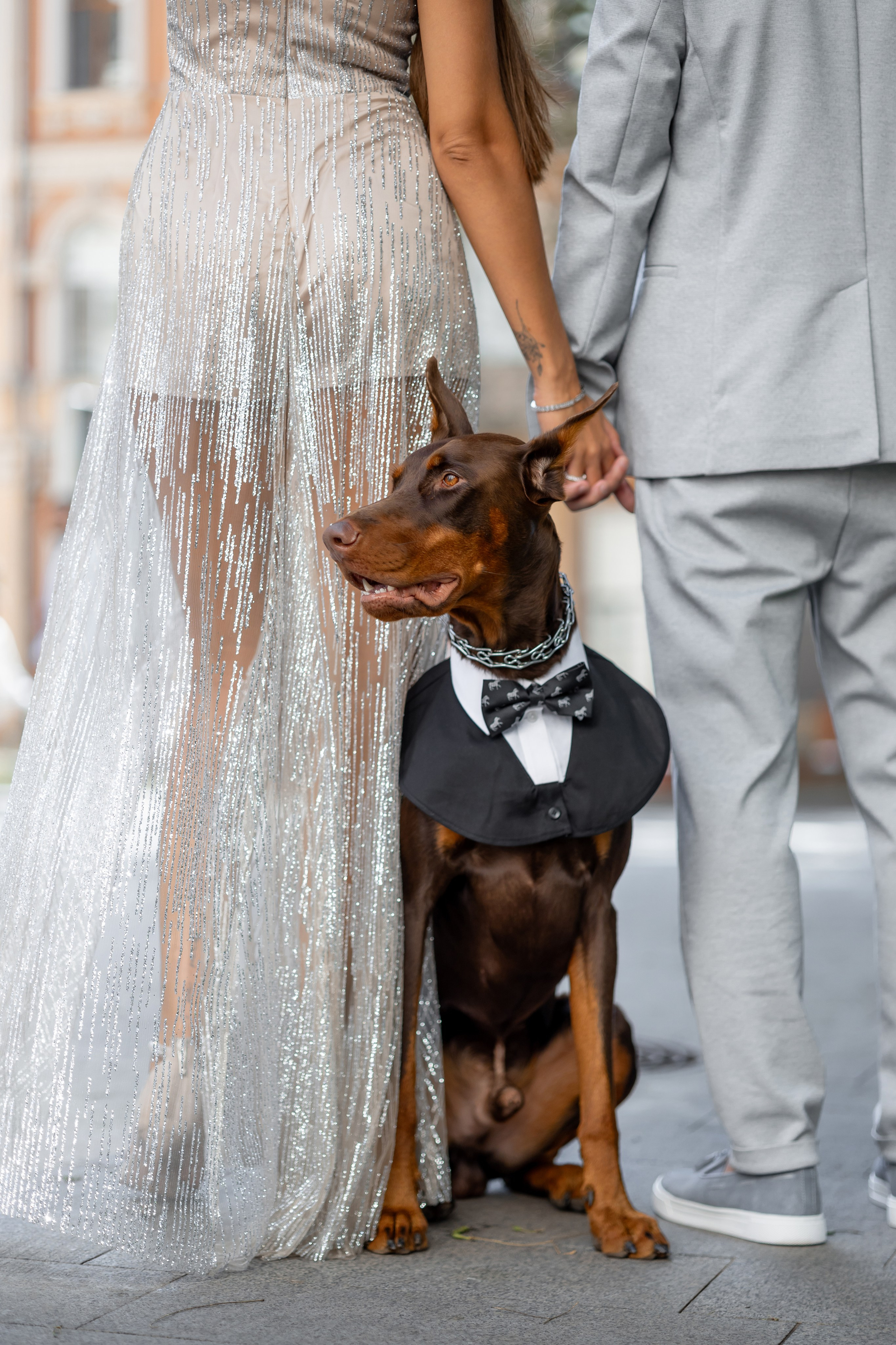 Діана & Влад. Весільний та сімейний фотограф Одеса
