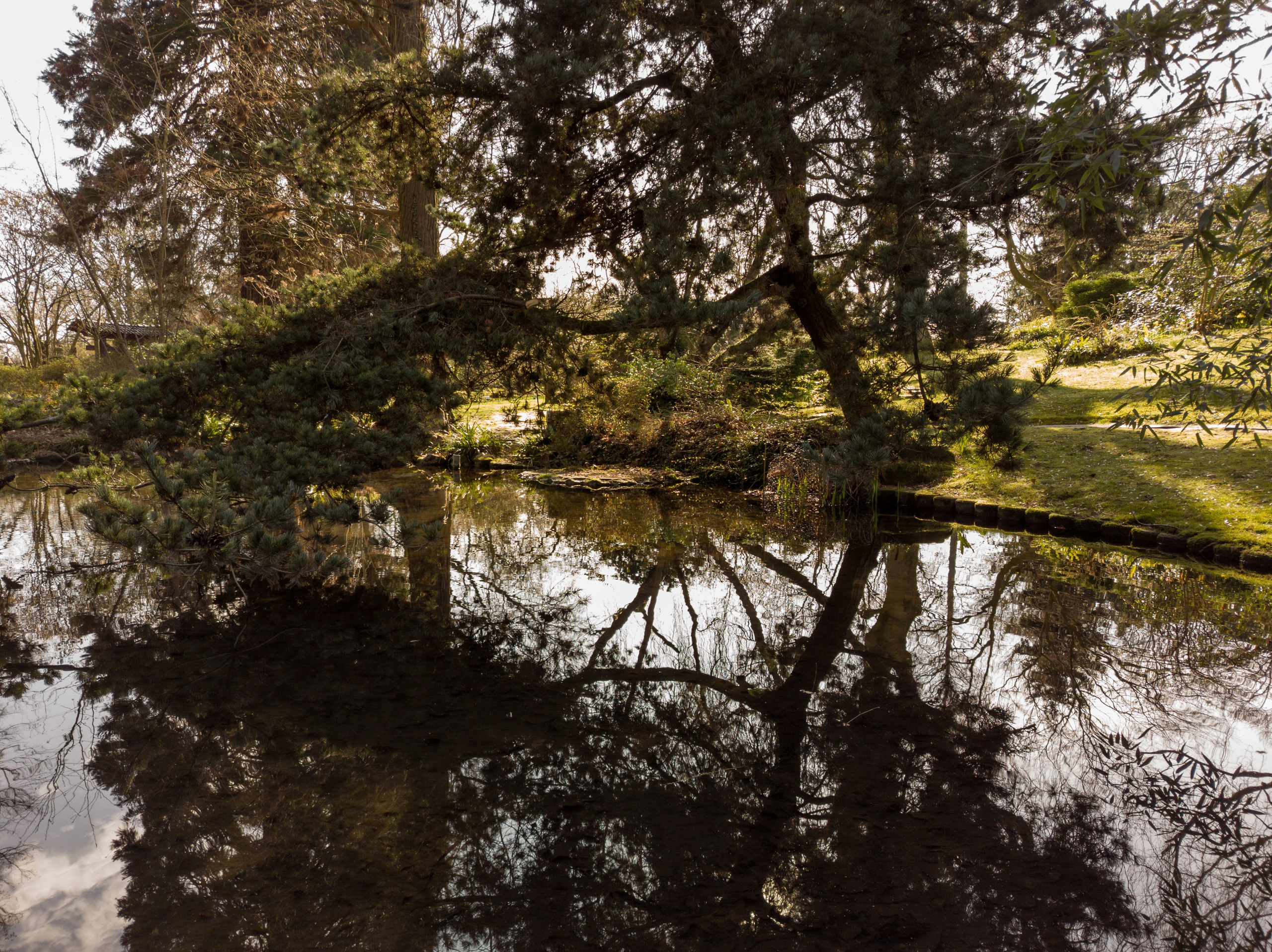 Cologne (Germany) Leverkusen. Fotograf in Köln, Bonn, Düsseldorf, Krefeld