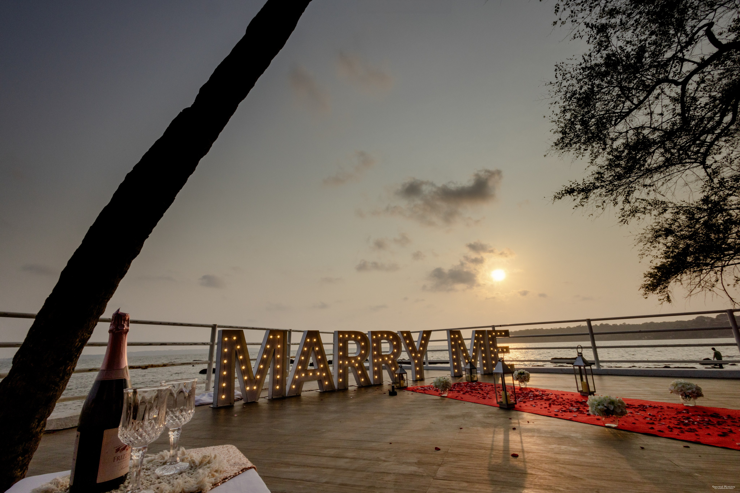 Purva & Tarun | Proposal