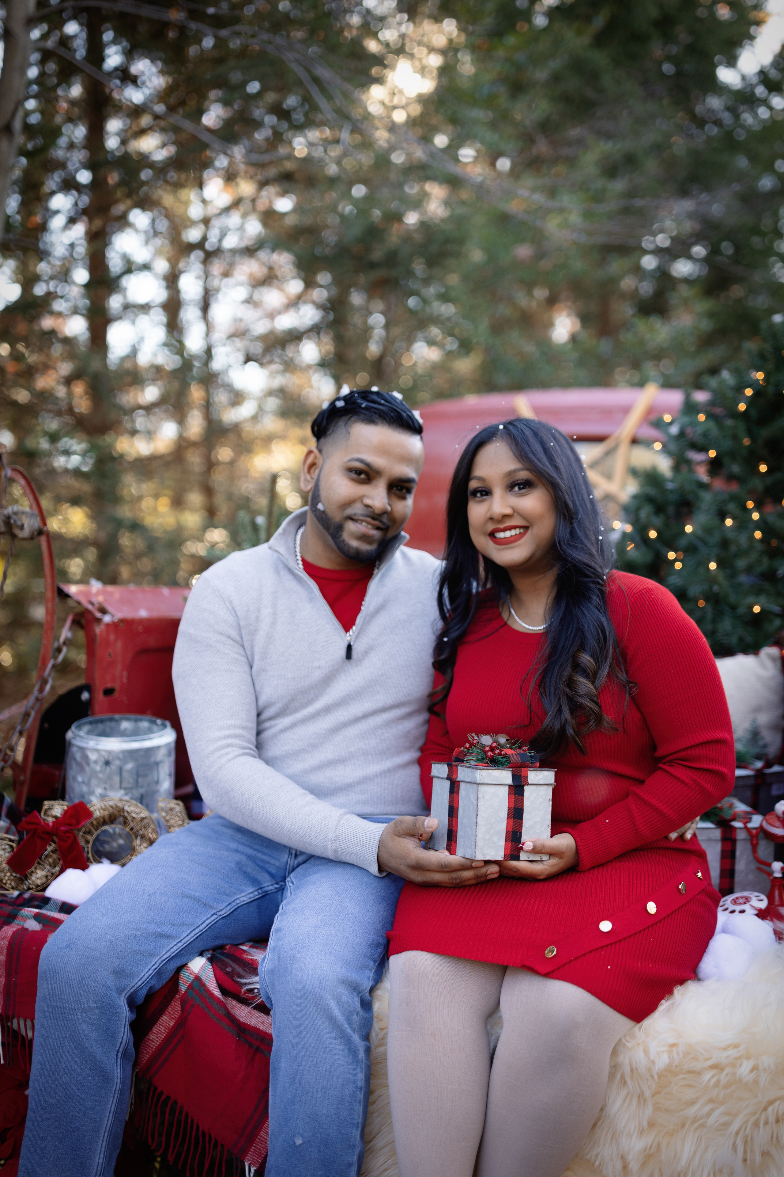 Christmas Truck. Professional photographer in NYC Kristina Bagdasaryan