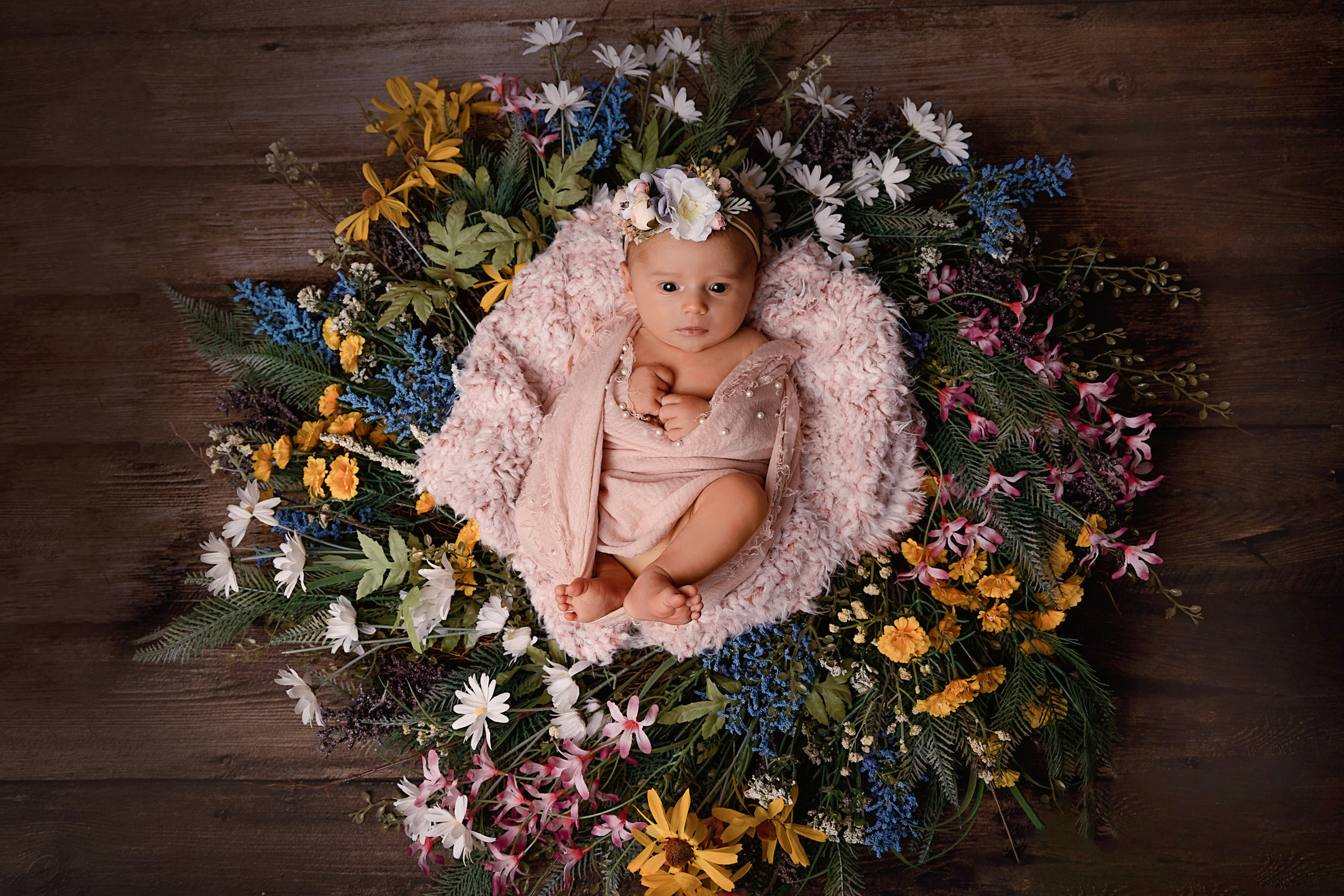 Newborn. Professional photographer in NYC Kristina Bagdasaryan