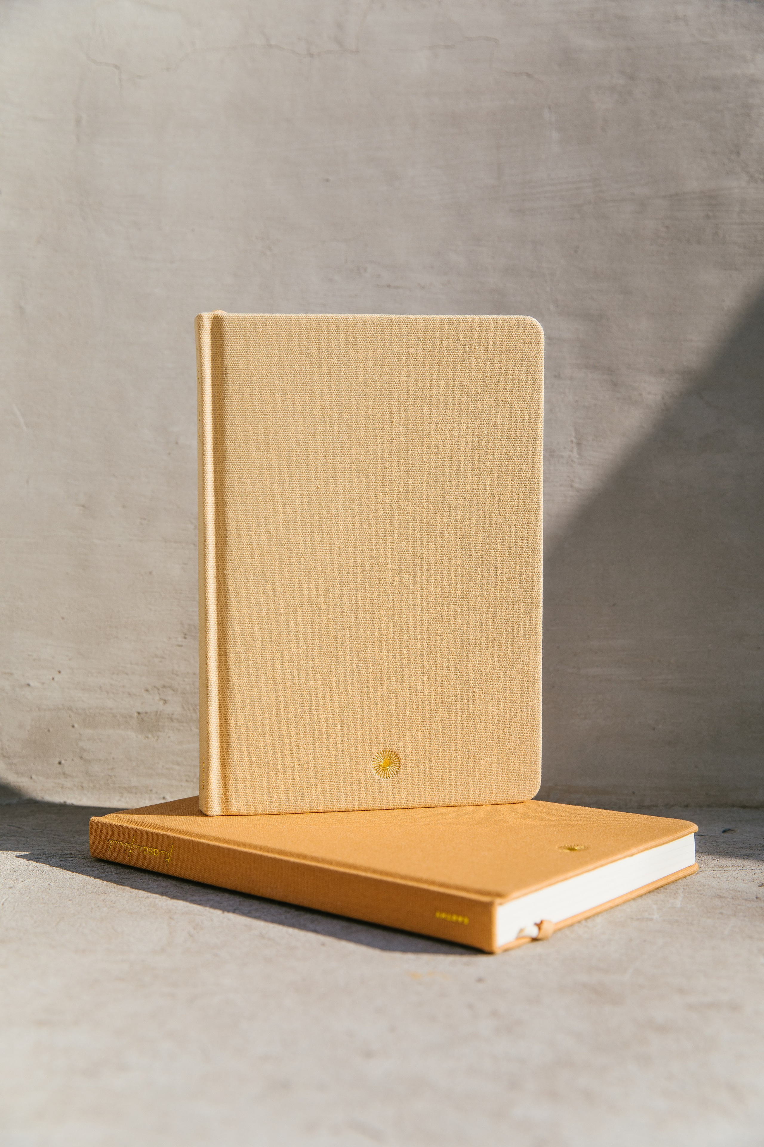 Objetos. Maria Kulakova — Fotógrafa en Santiago | Fotografía de producto, marcas y familias