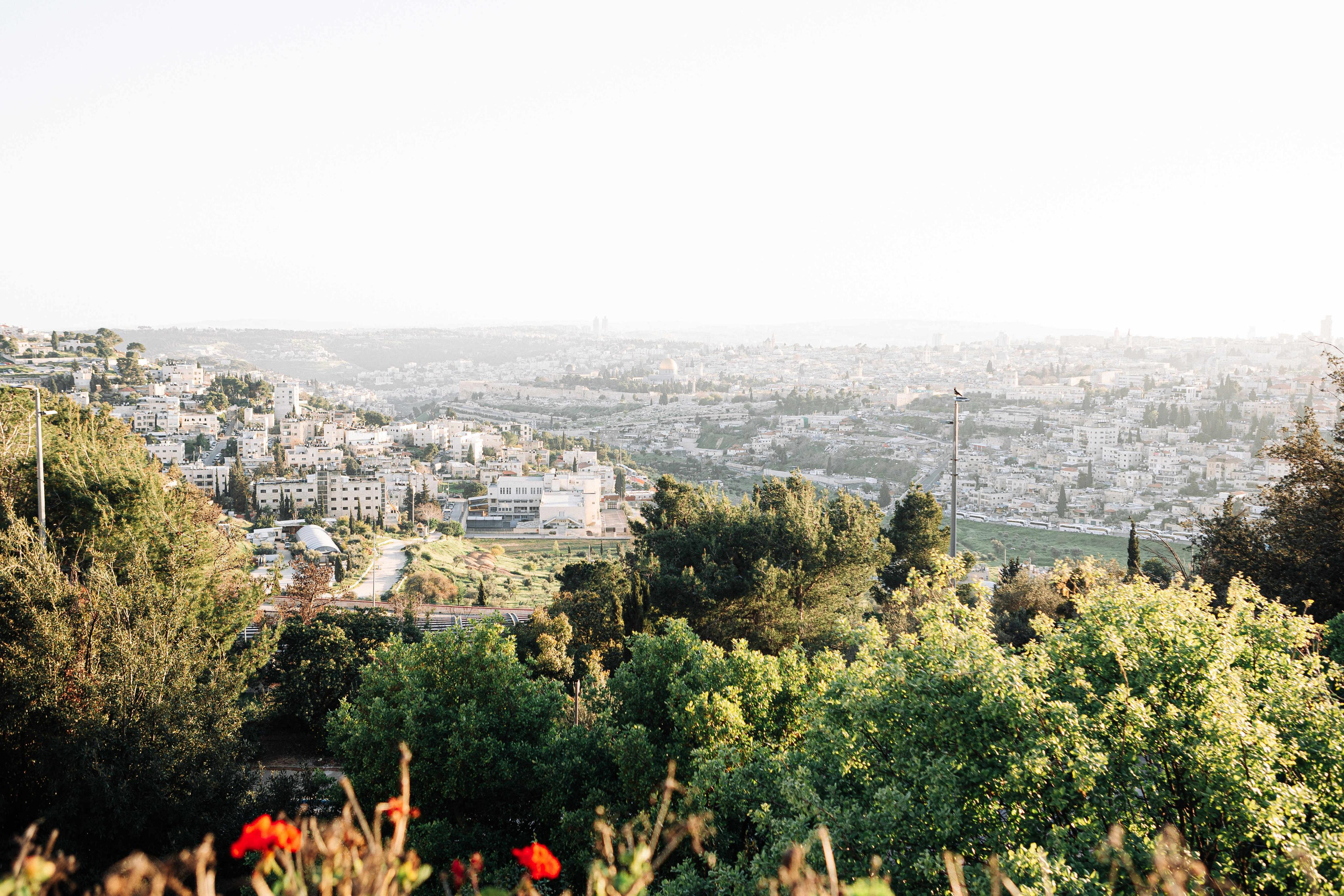 WEDDING AT THE HEBREW UNIVERSITY. Https://shi-photo.com/