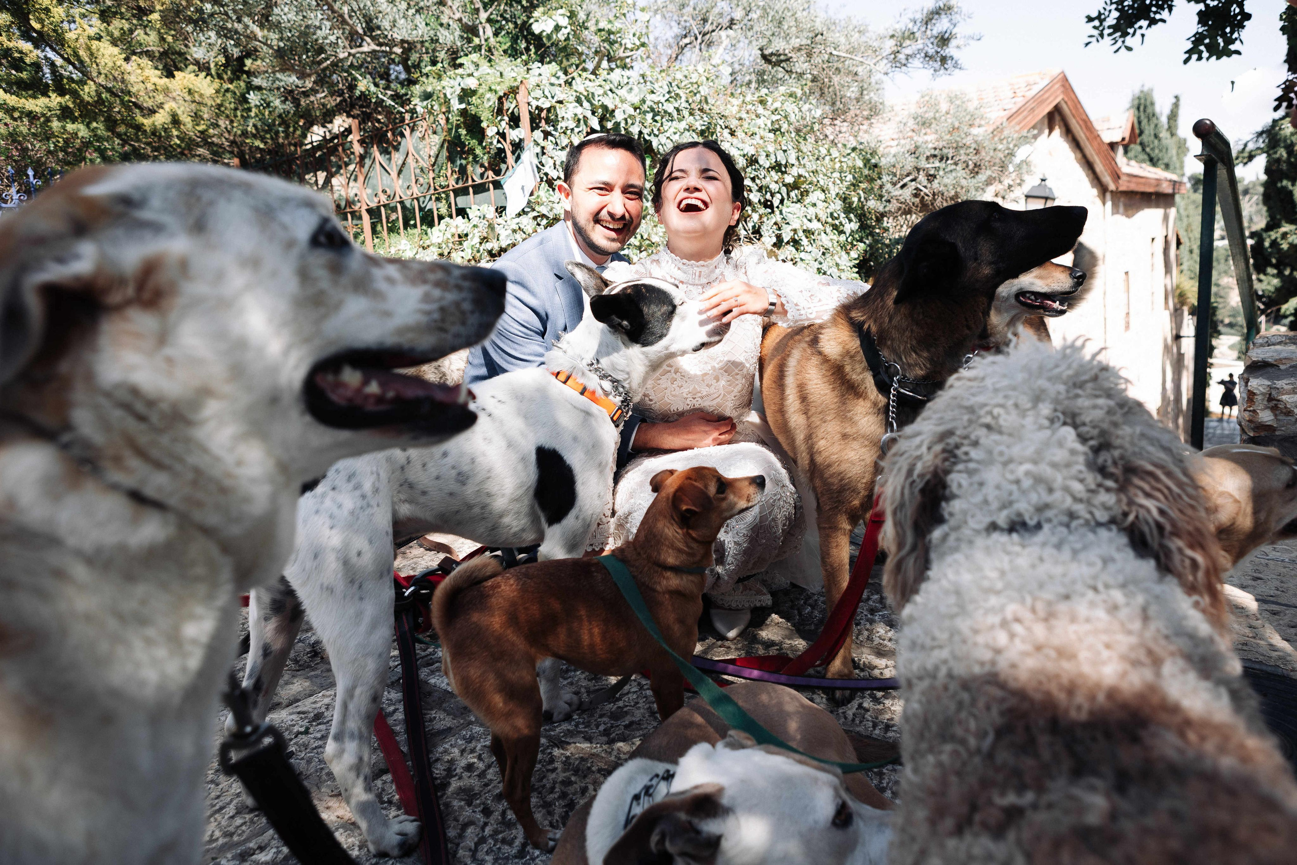 WEDDING AT THE HEBREW UNIVERSITY. Https://shi-photo.com/