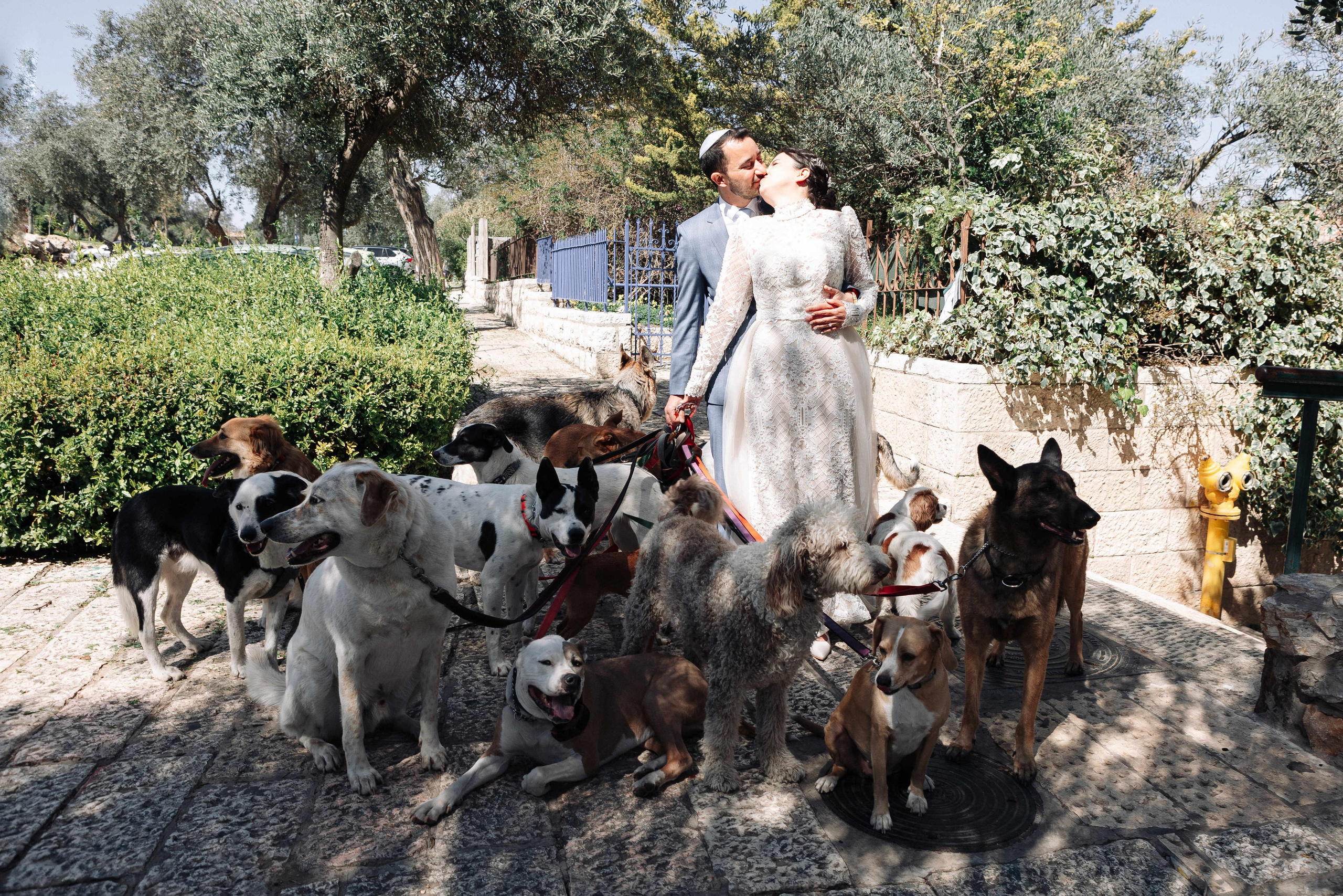 WEDDING AT THE HEBREW UNIVERSITY. Https://shi-photo.com/