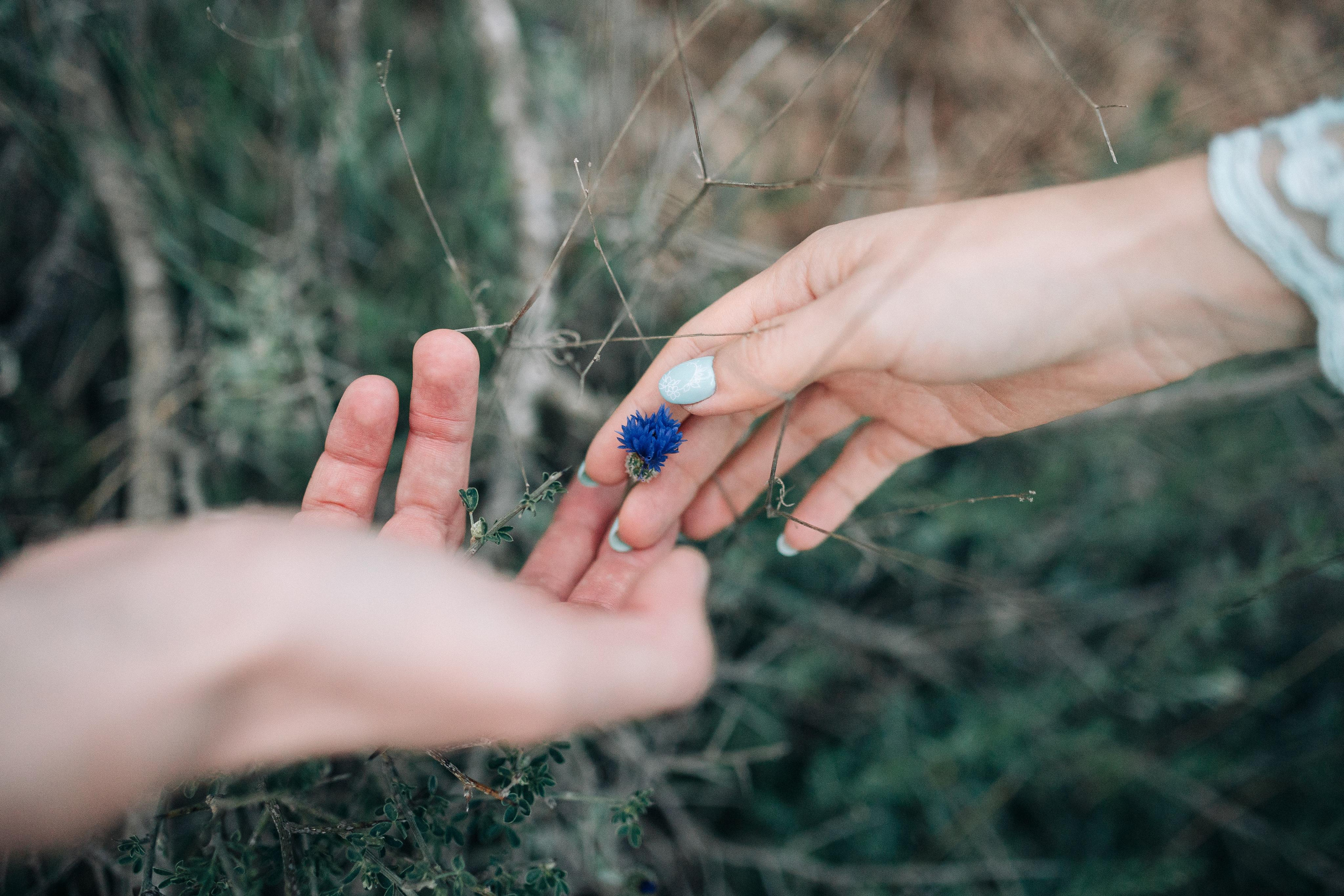 WEDDING IN HAIFA. PHOTOGRAPHER IN ISRAEL