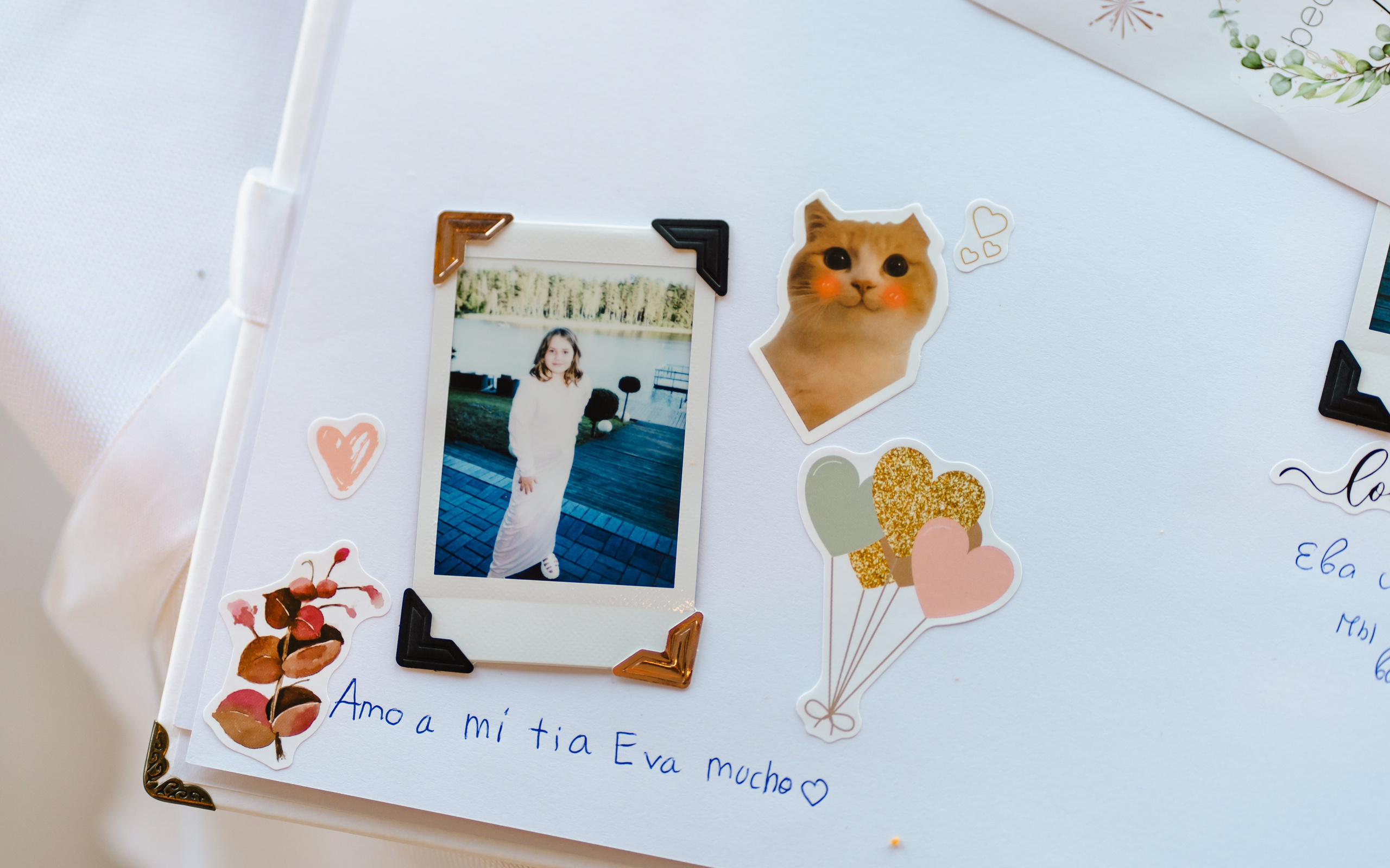 E&S. Montenegro photographer and videographer