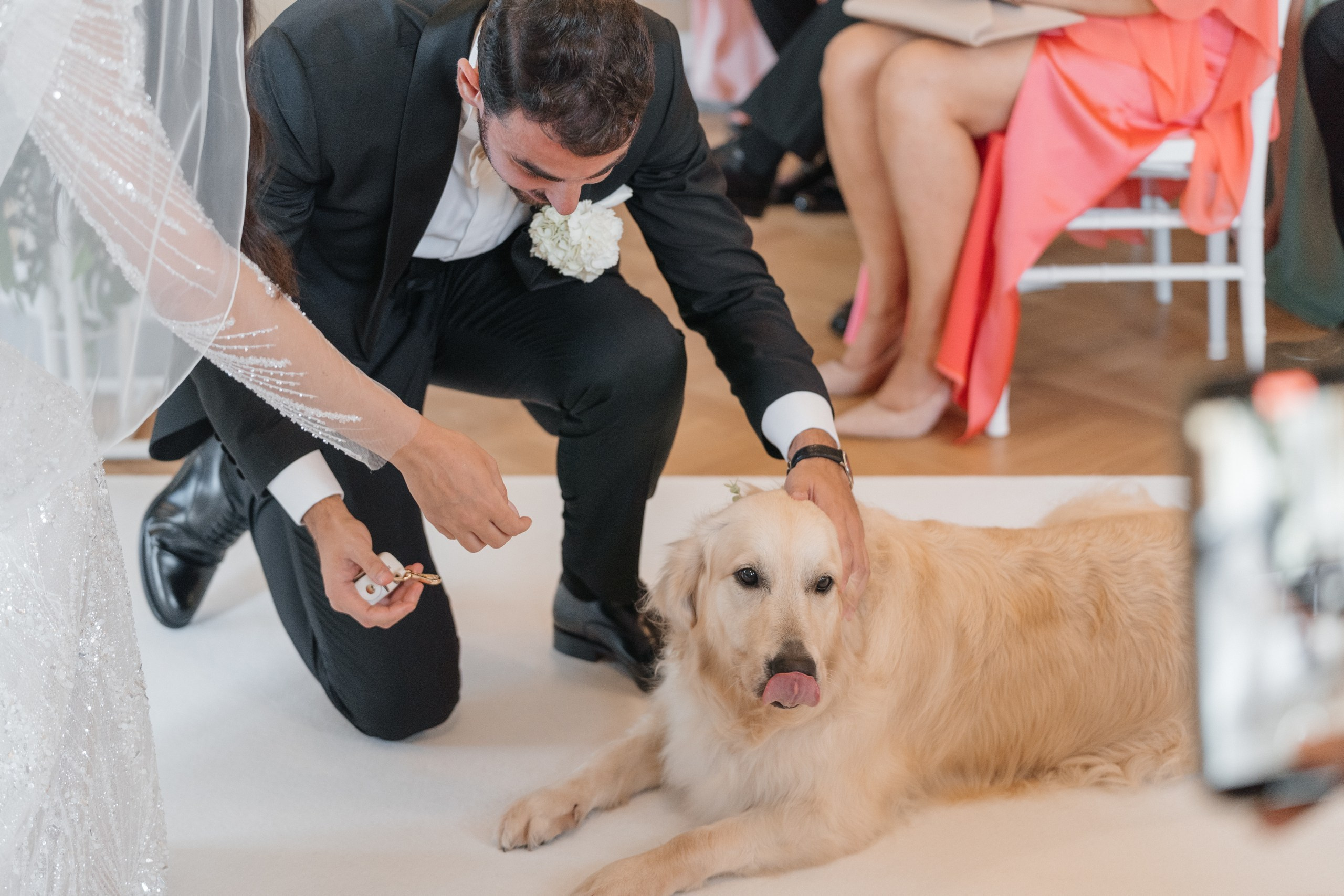 Joshua & Barbara. Wedding photographer Natalia