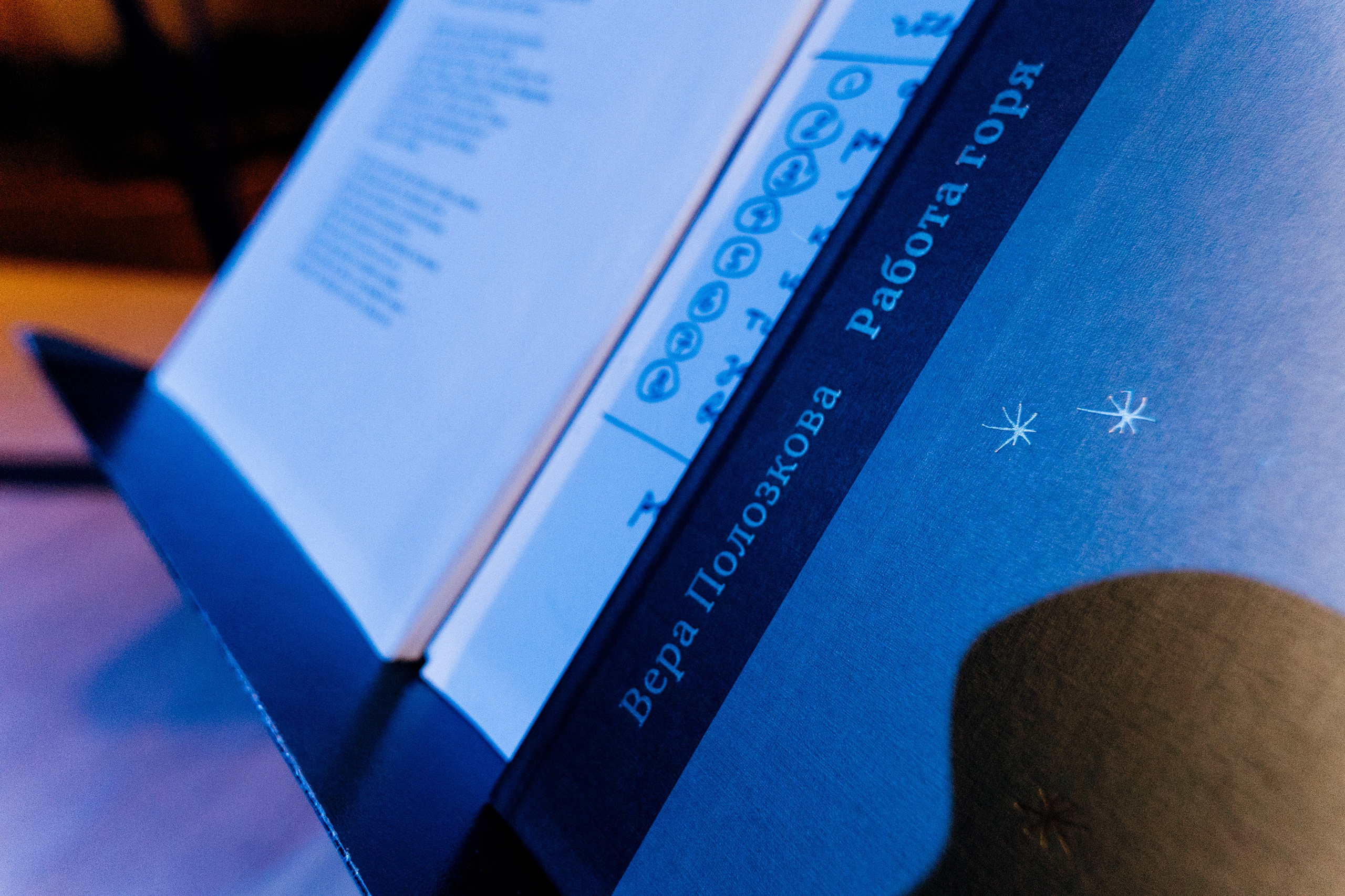 Вера Полозкова. Фотографии с мероприятий в Монреале