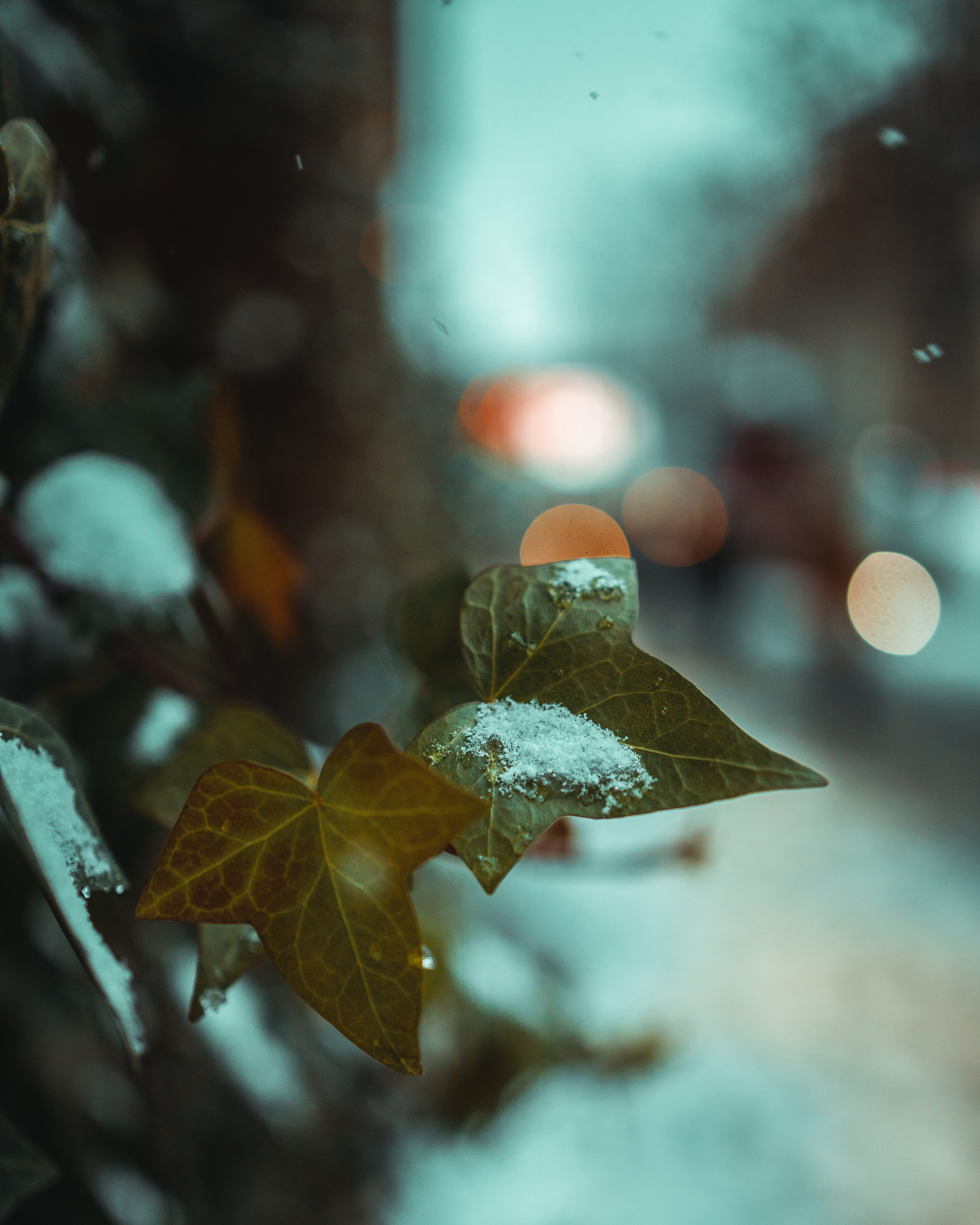 T B I L I S I. Bspander